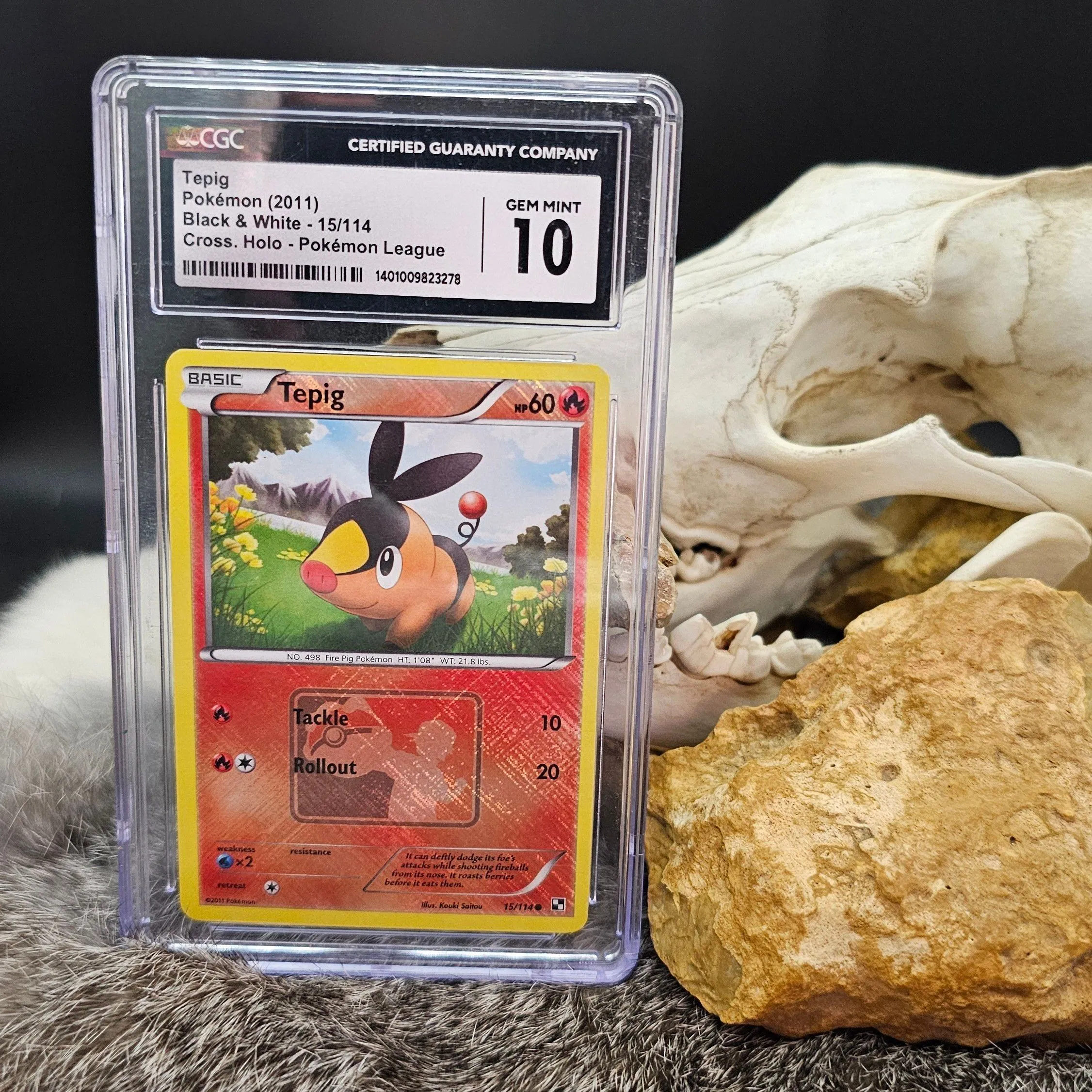 Product image for Tepig Reverse Holo Promo