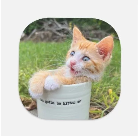 Product image for Charging pad for phone "you gotta be kitten me"