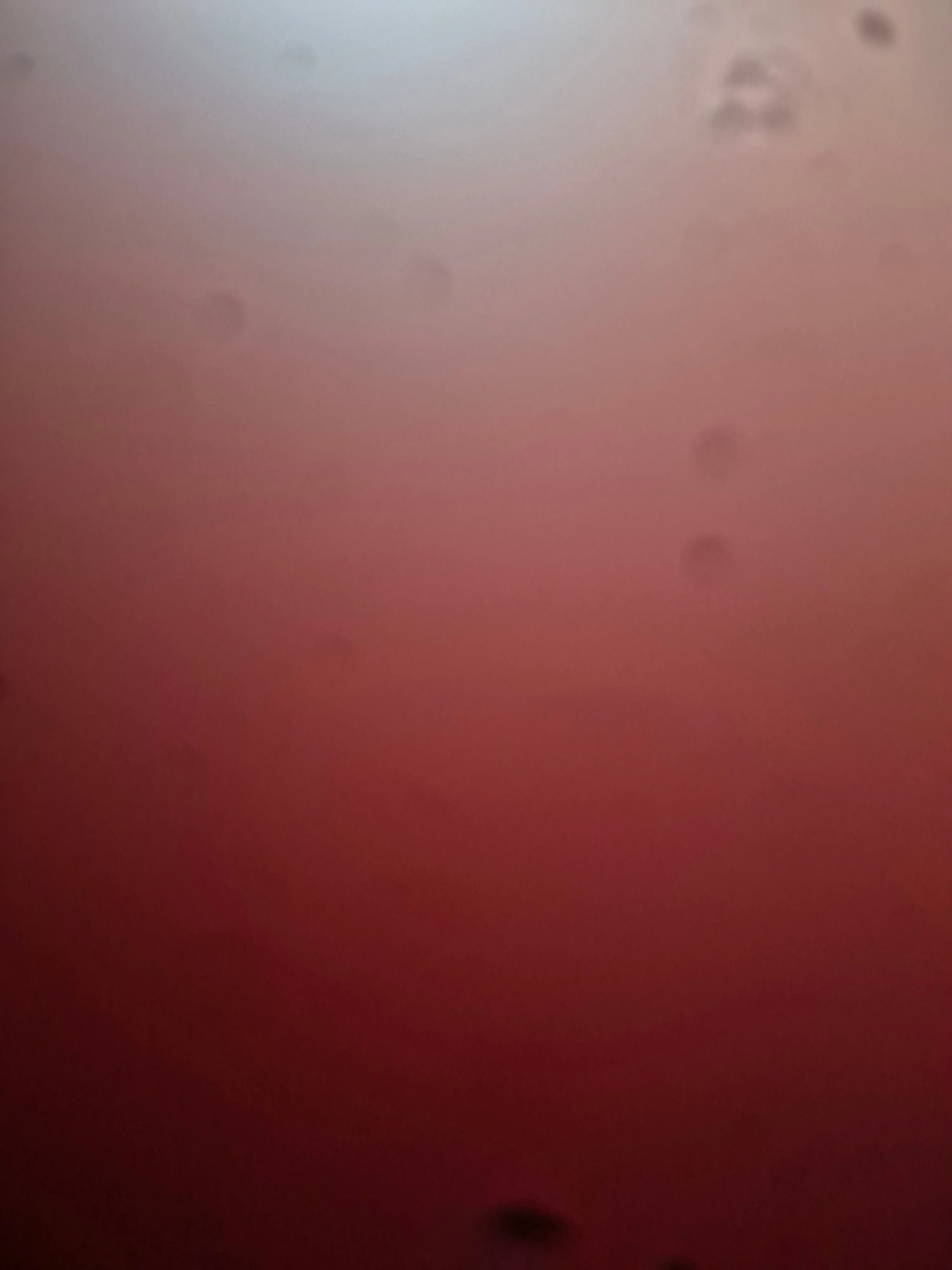 d59f9186-d8ca-410e-aa2d-a0dd0ba26c78