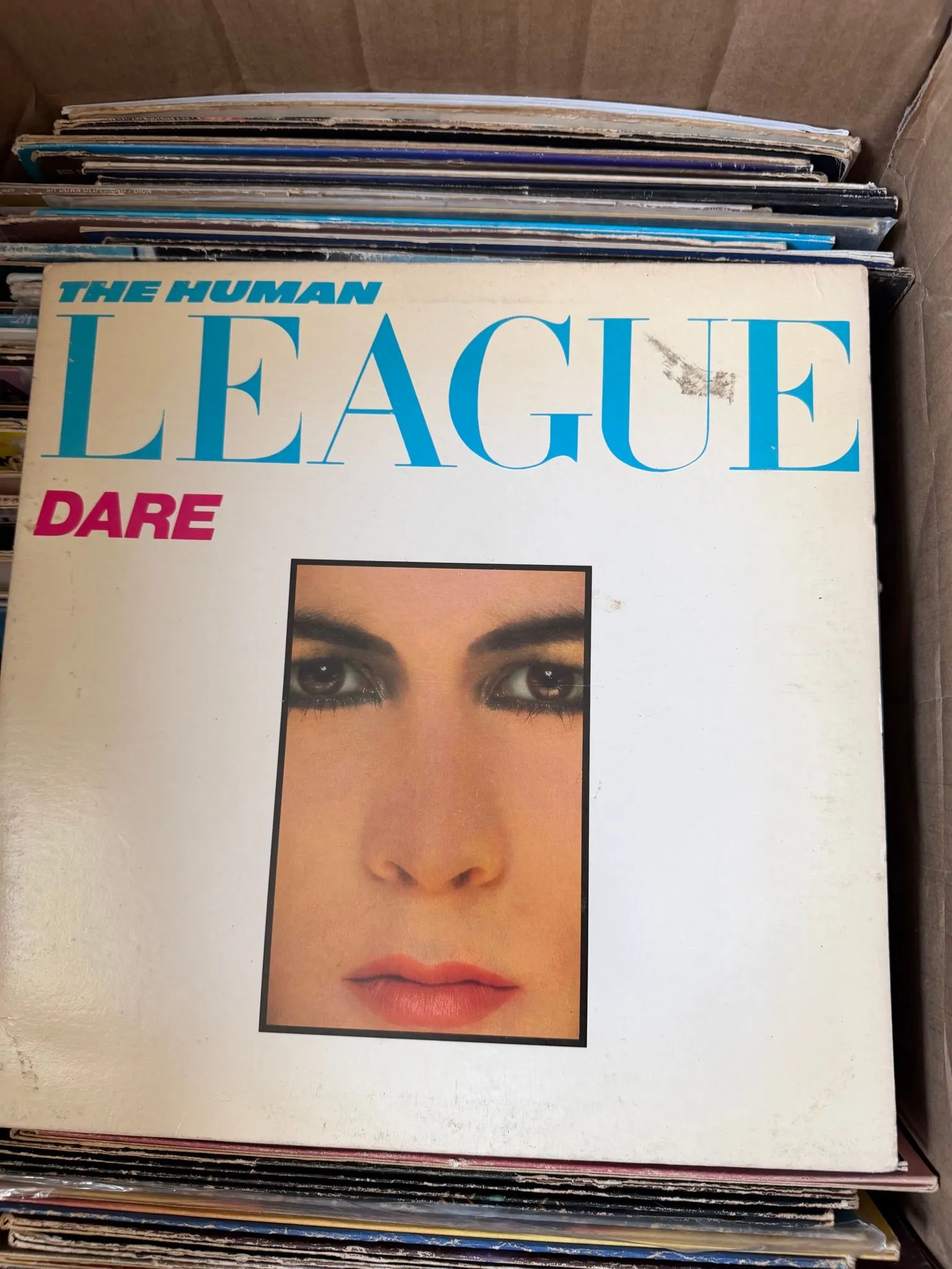 d5c07e48-85fe-42e0-9e7a-7f8fbce5d6c7