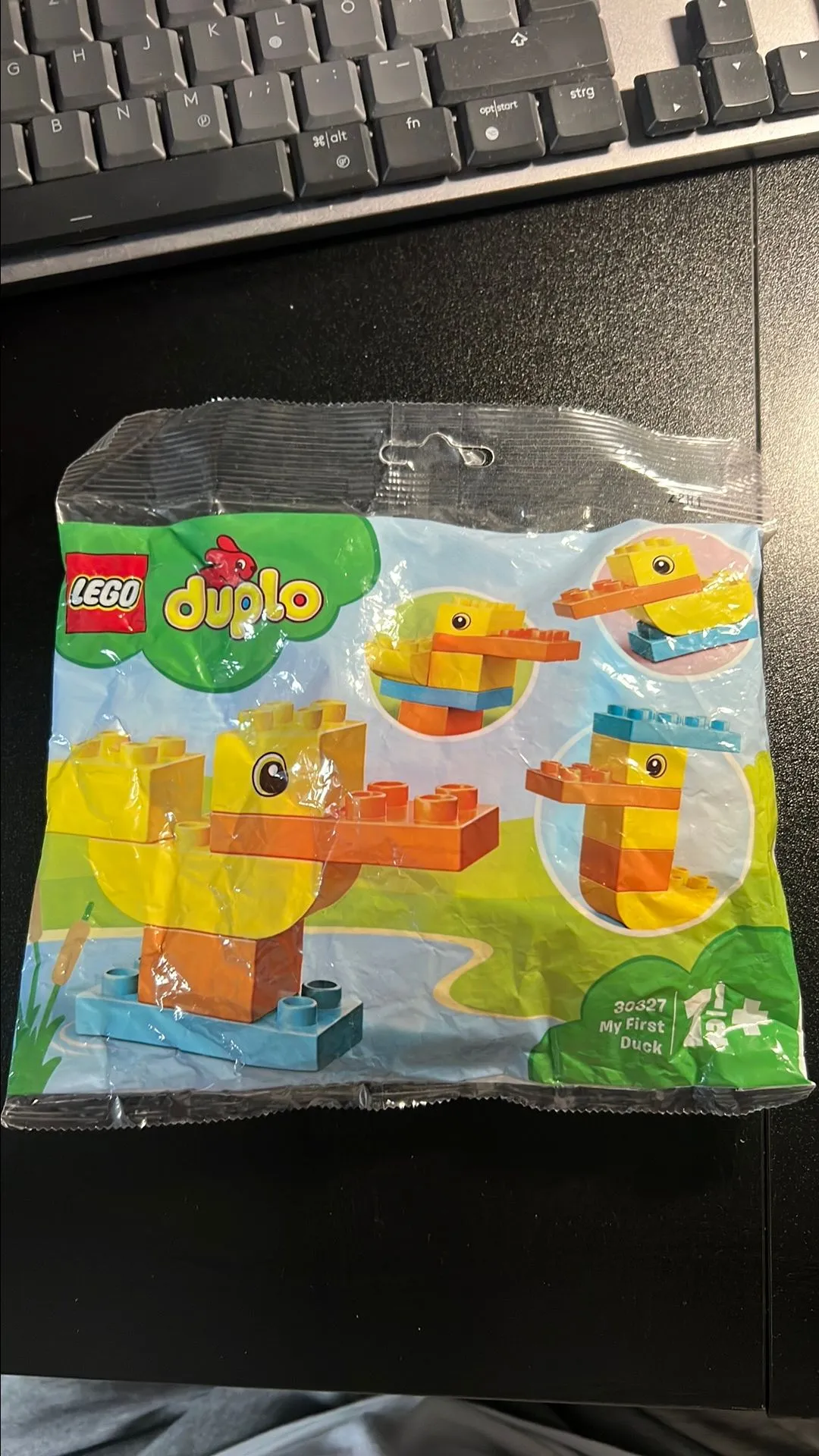 d6705a76-9f44-4e70-82e2-2b93f821e53a