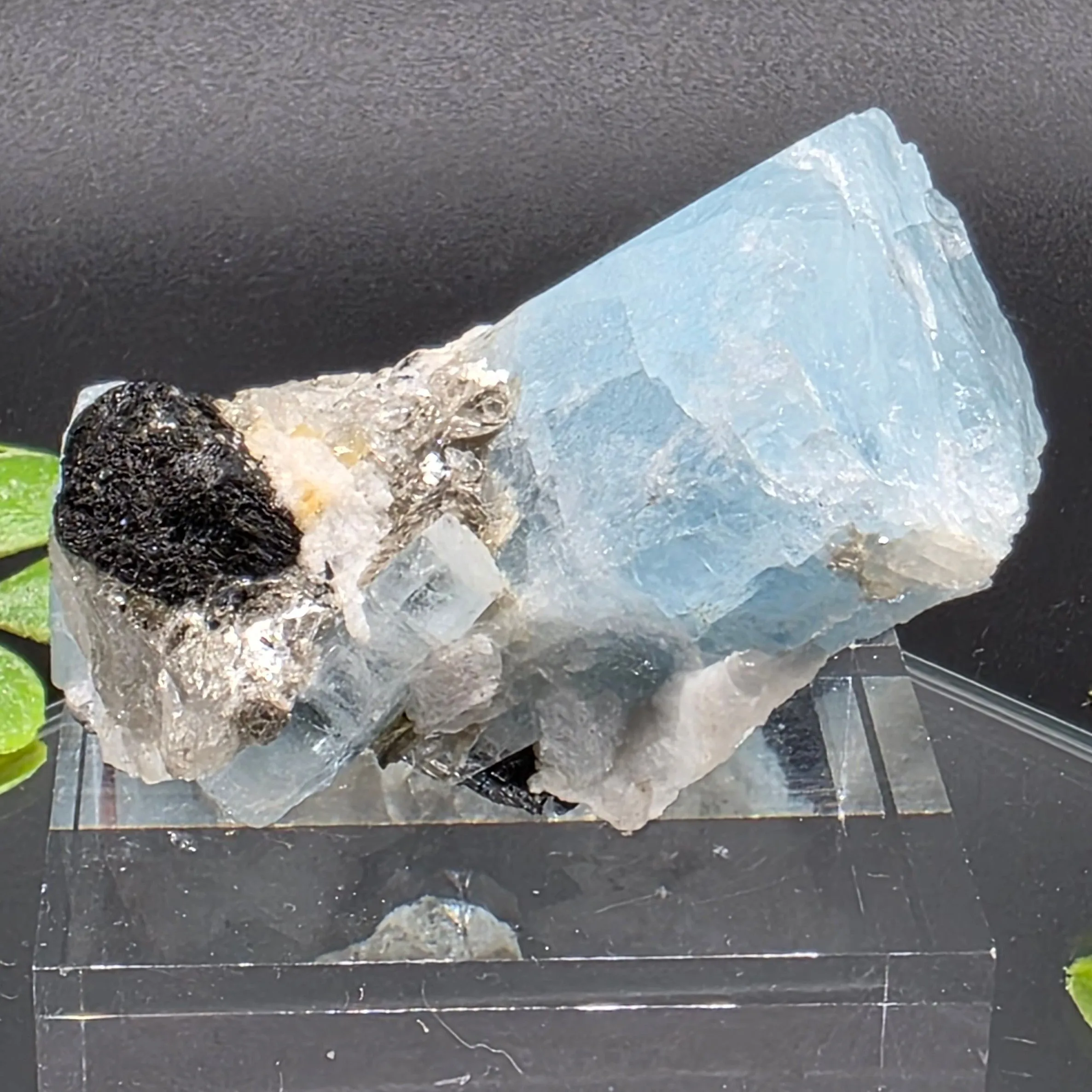 Product image for #483 Aquamarine with Black Tourmaline from Pakistan 