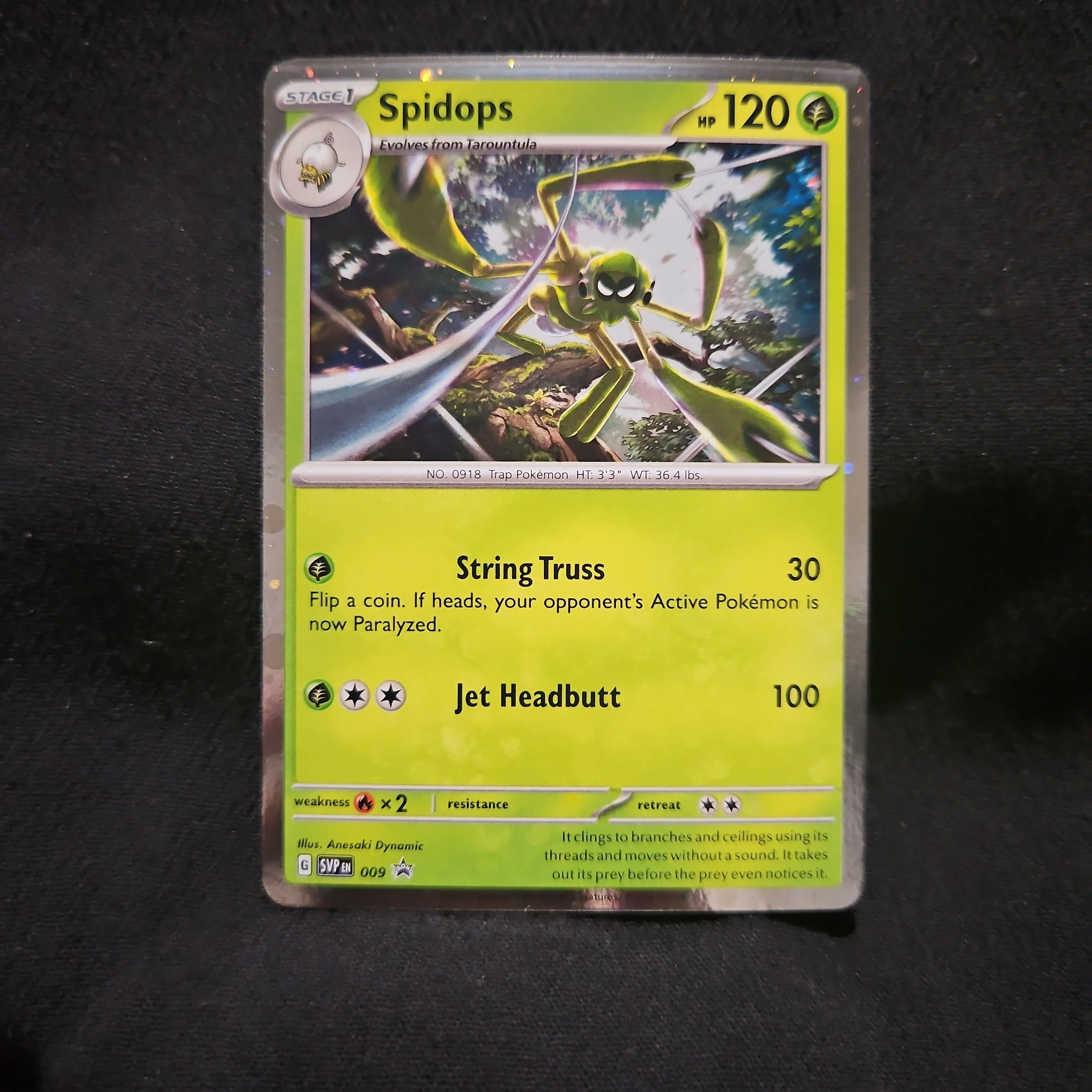 Spidops - Holofoil - Promo, Scarlet and Violet - 2023 - Pokmon  Whatnot:  Shop, Sell, Connect