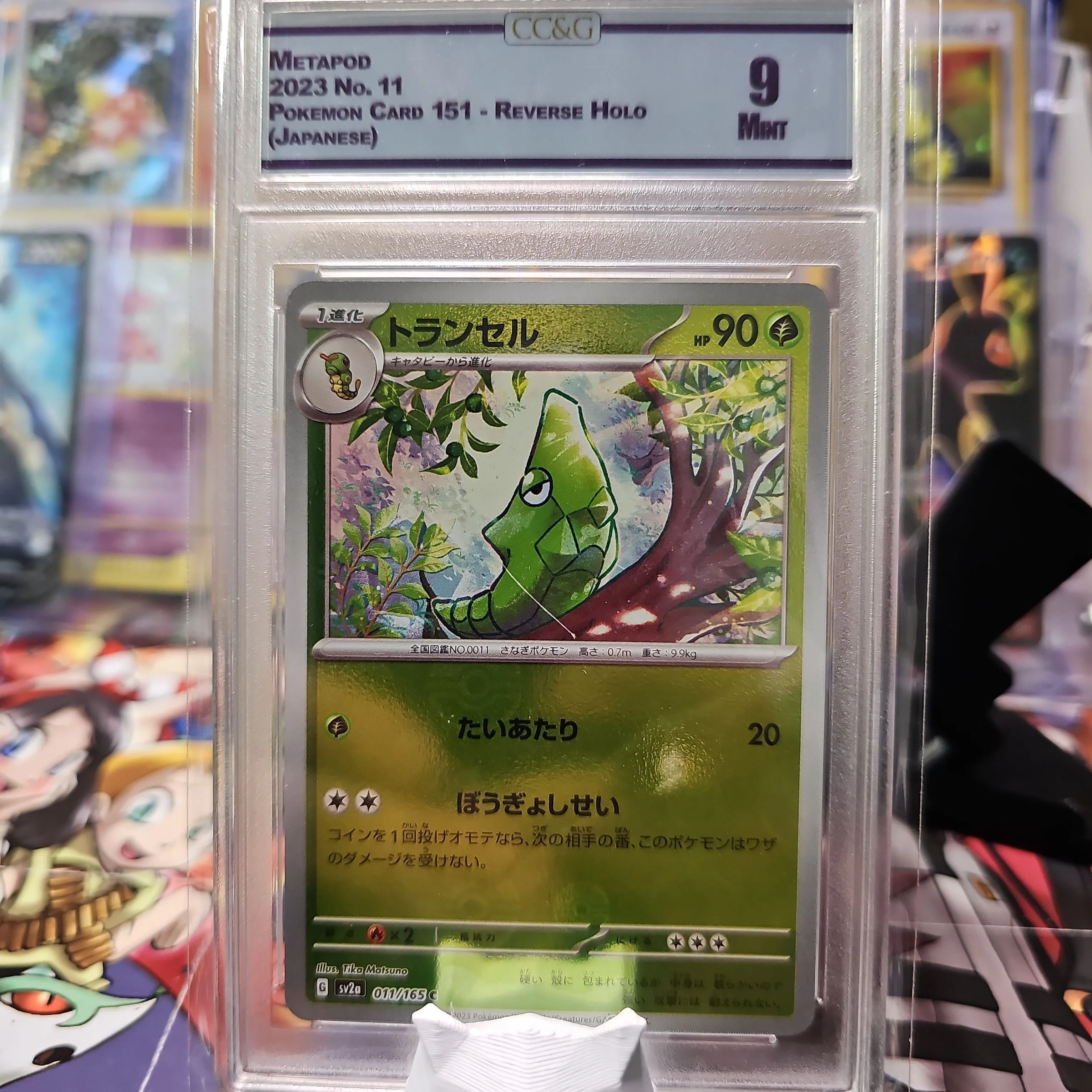 Product image for METAPOD 2023 NO. 11 POKEMON 151-REVERSE HOLO