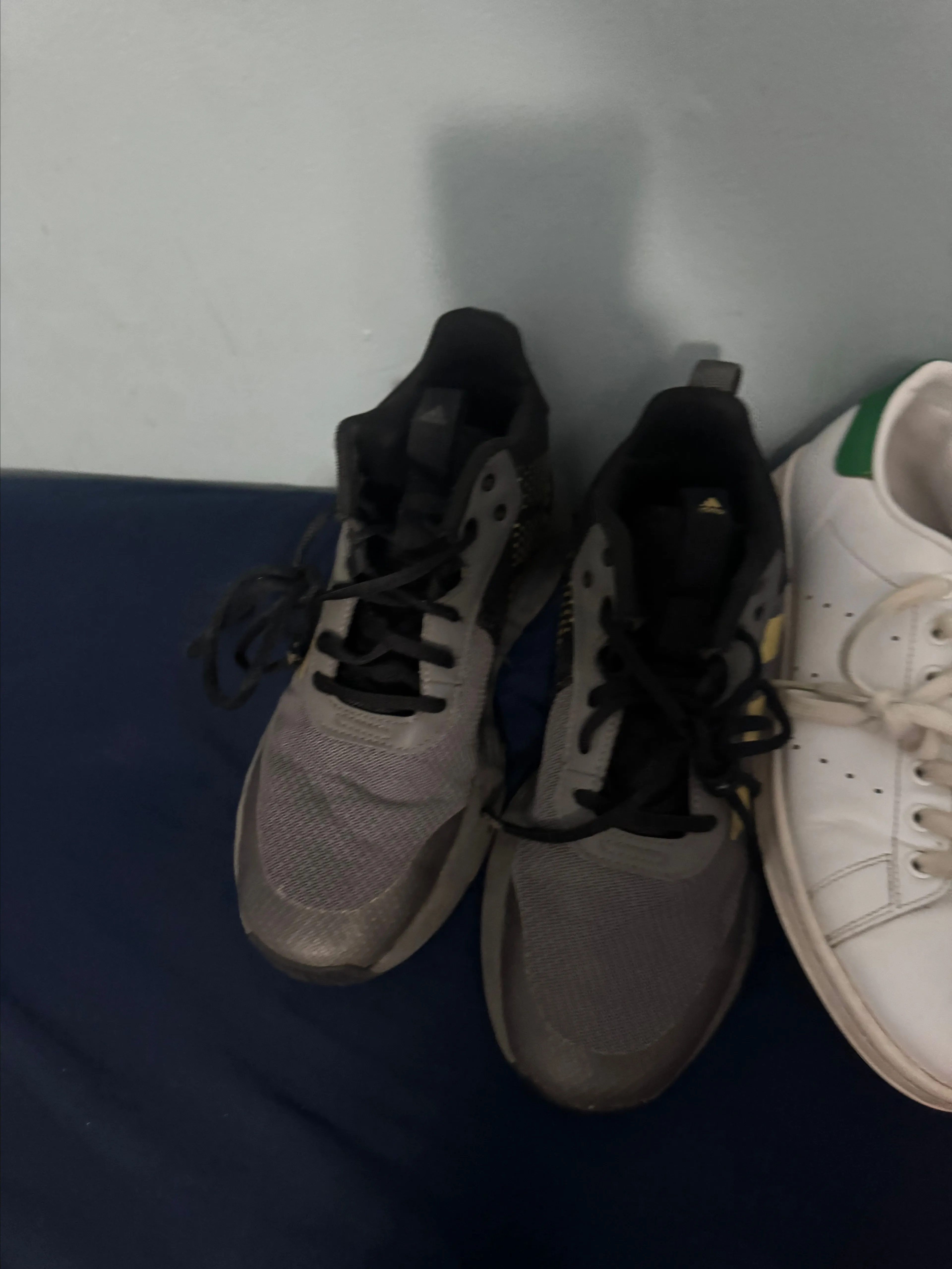 d909bcc1-02bc-403a-b0c6-a3d1faad44a9