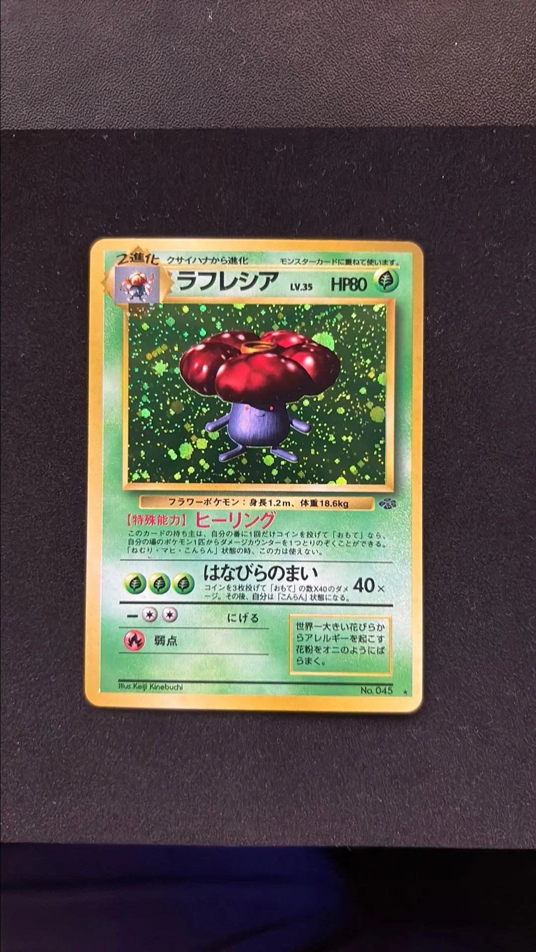 d933409d-a6c6-4e0b-92bf-94d32bbac860