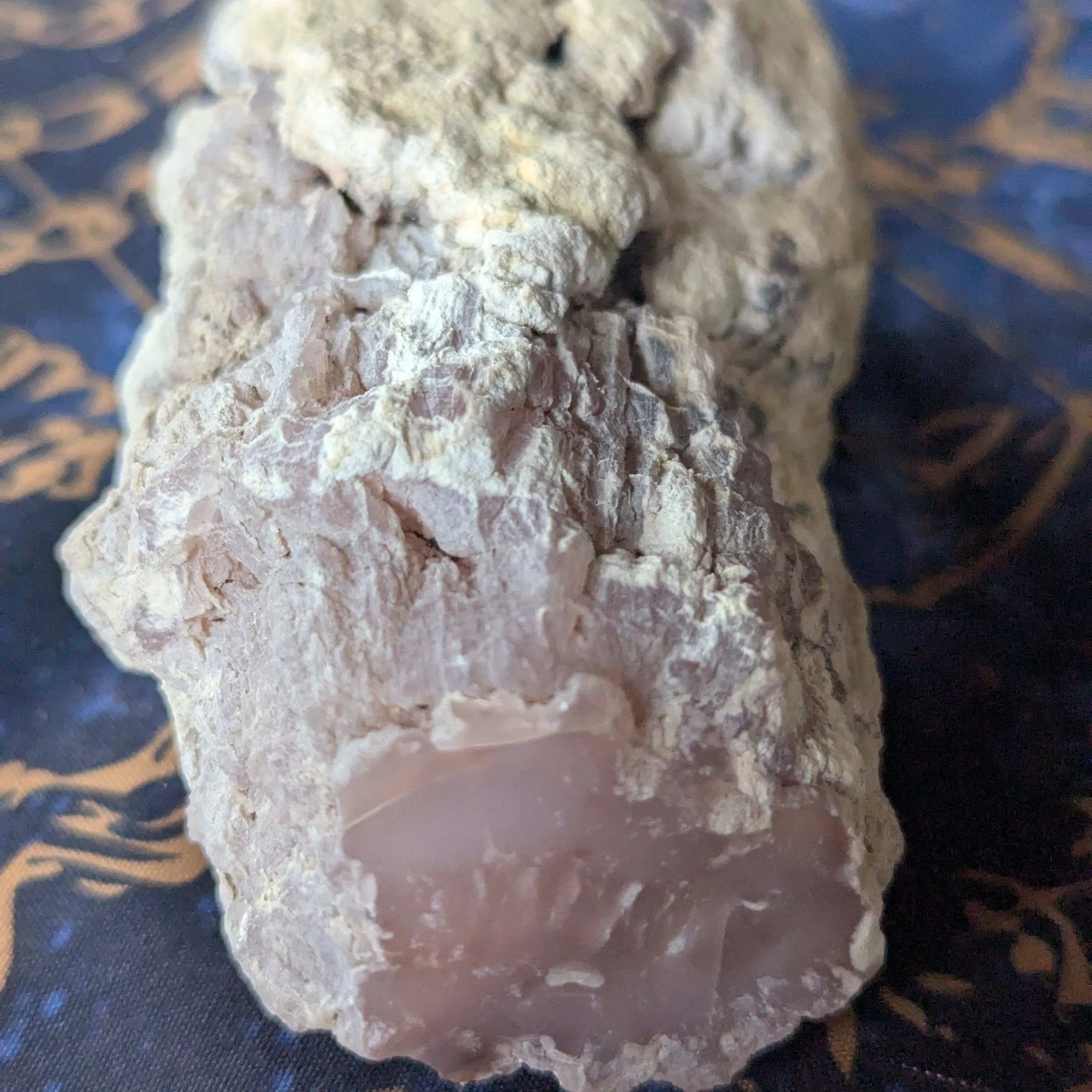 Product image for Untouched Pink Petrified wood Limb casting 