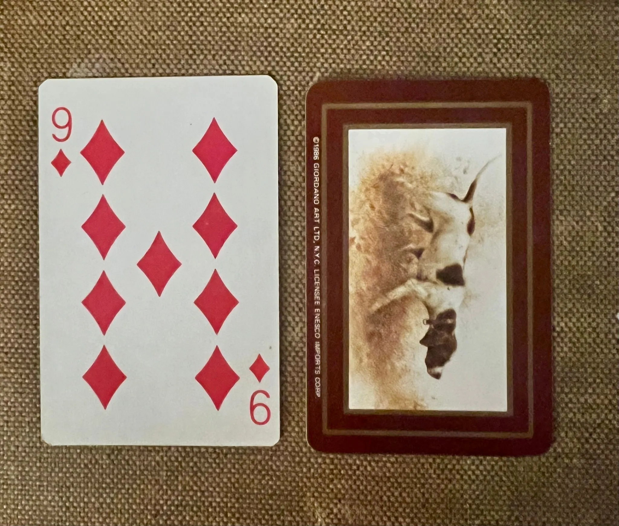 d97424c7-c74e-48e2-830b-ed22cd20523e