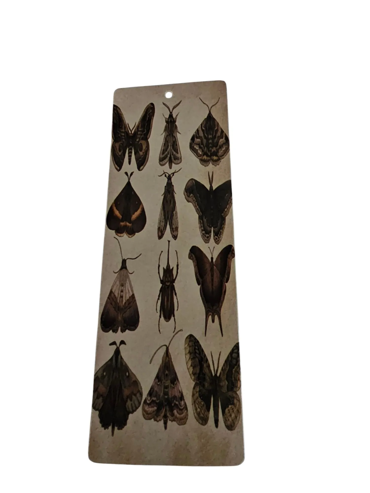 Product image for AA - Moth/Bug Themed Bookmark