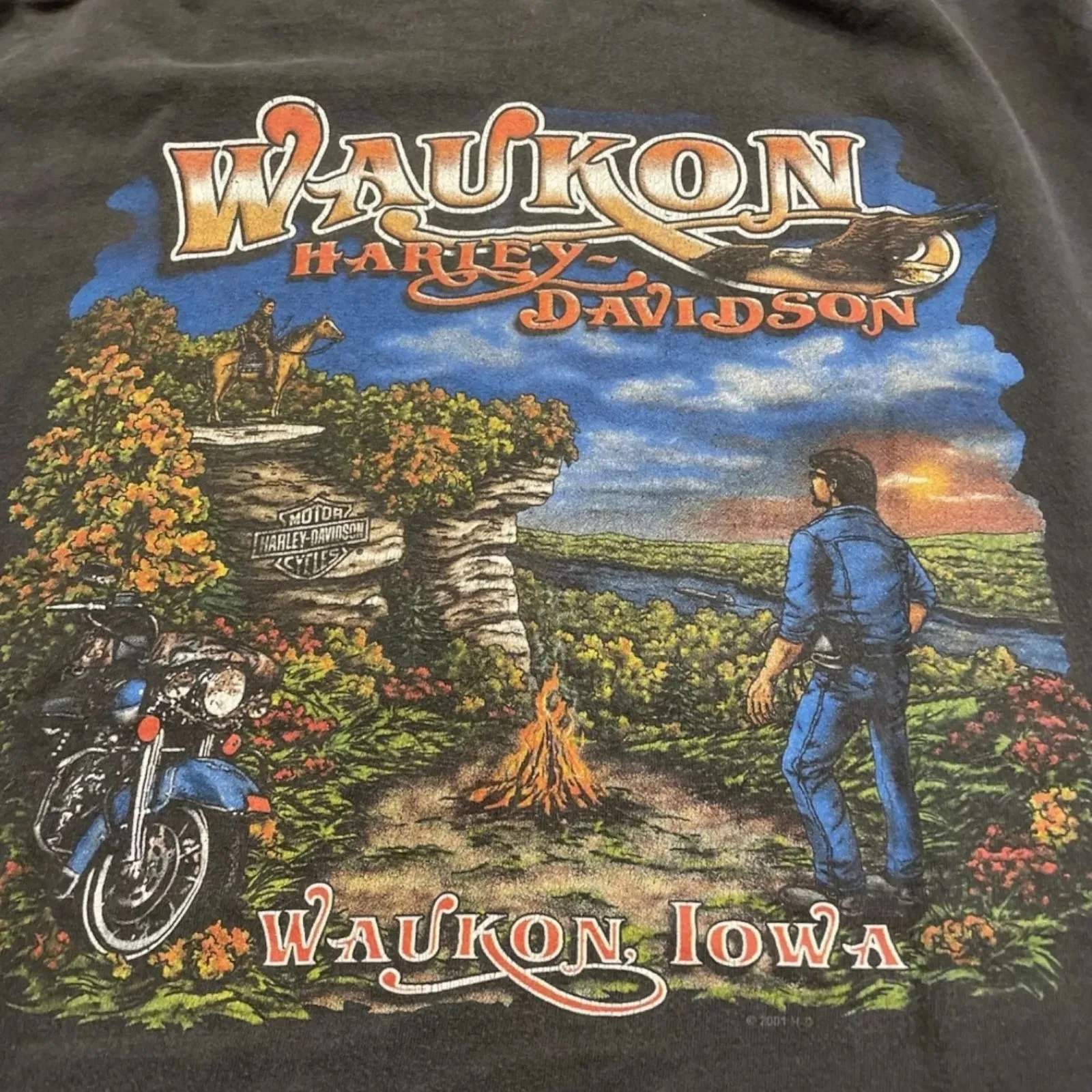 Product image for Harley Davidson Bear "Survivor"