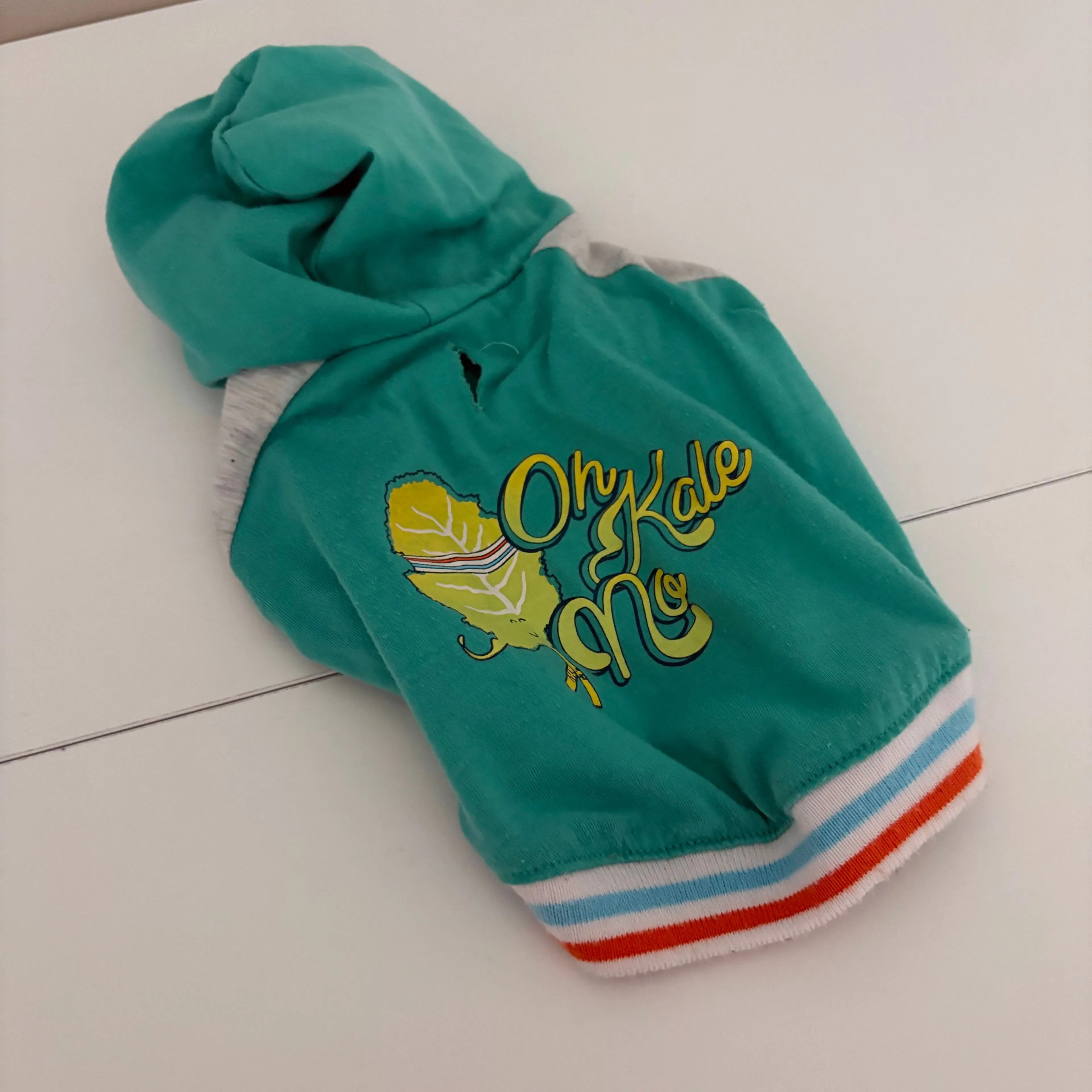 Product image for Dog small hoodie