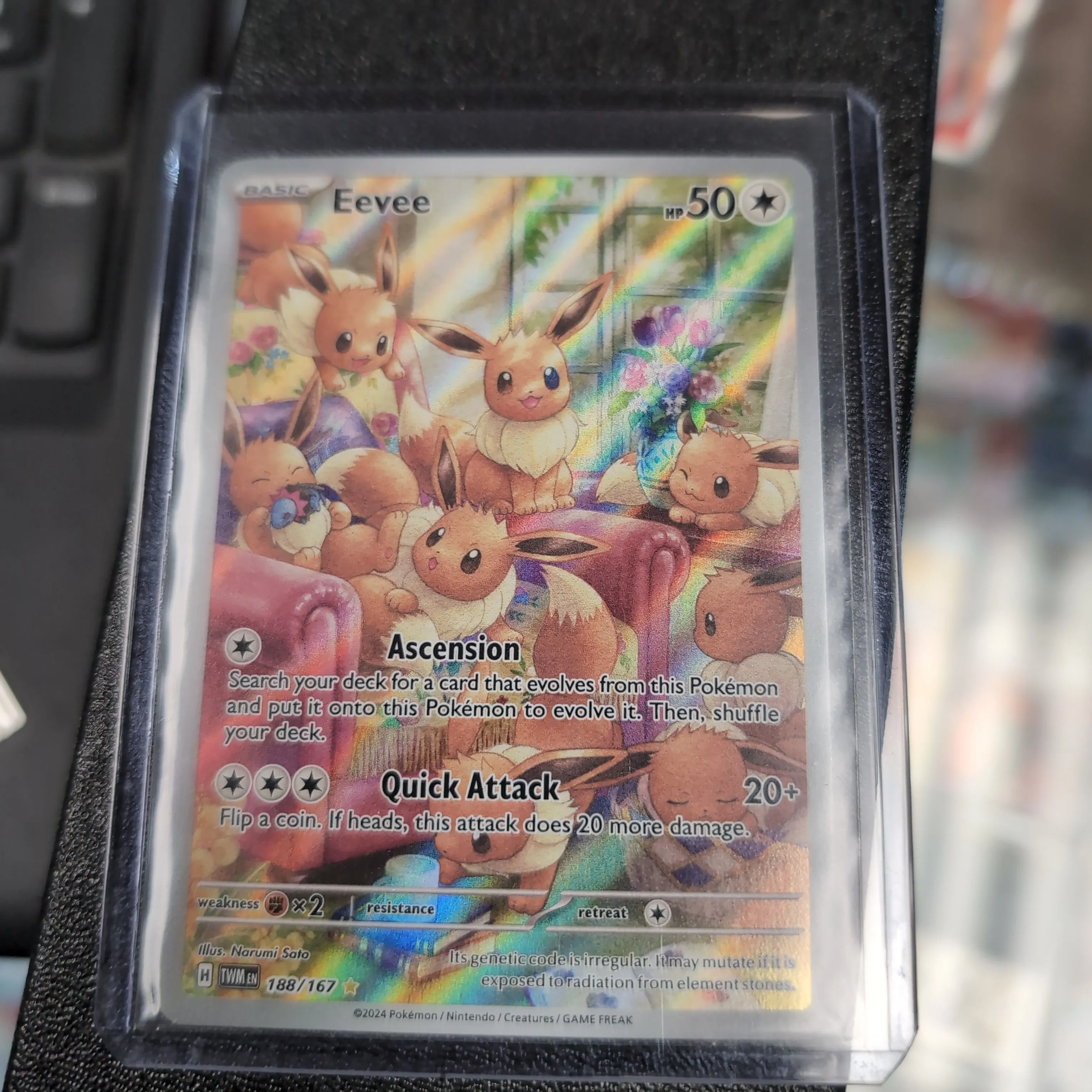 Product image for PKM - Single - Eevee