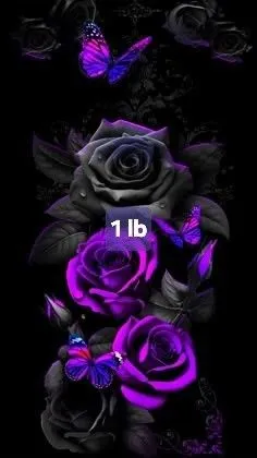 dd8934e5-2b21-415c-a415-596842bdb1ea