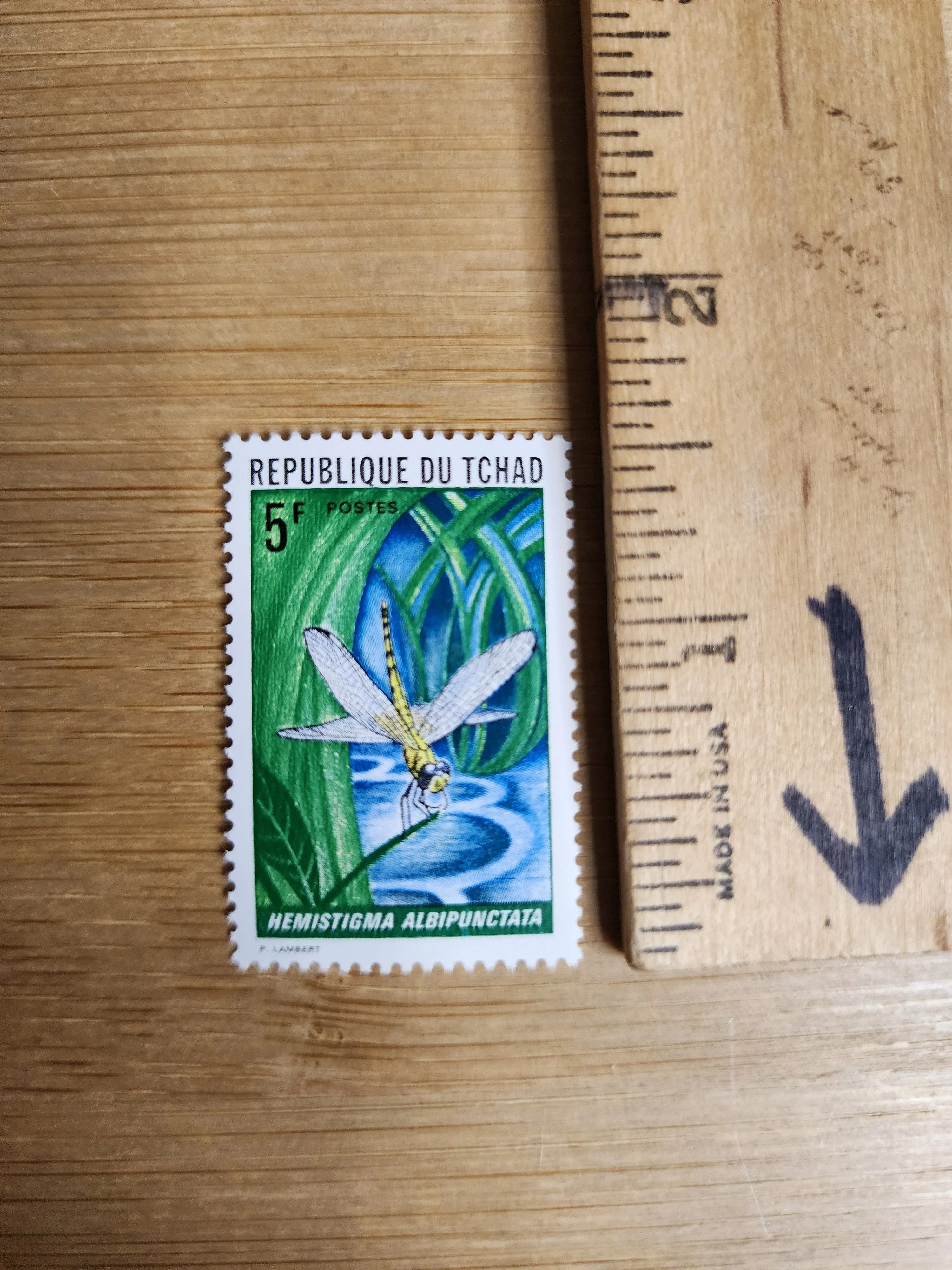 dd9800df-44da-4eaa-9ce0-e2309fc1f082