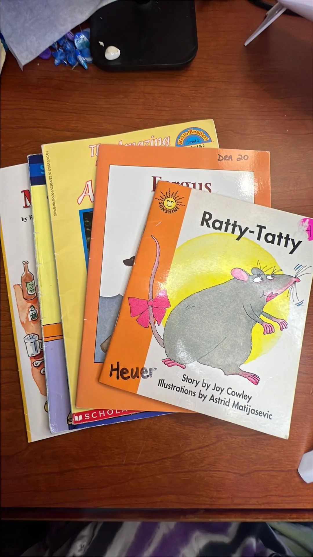 Product image for Set of 5 Lever 2/3 Easy Reader Books