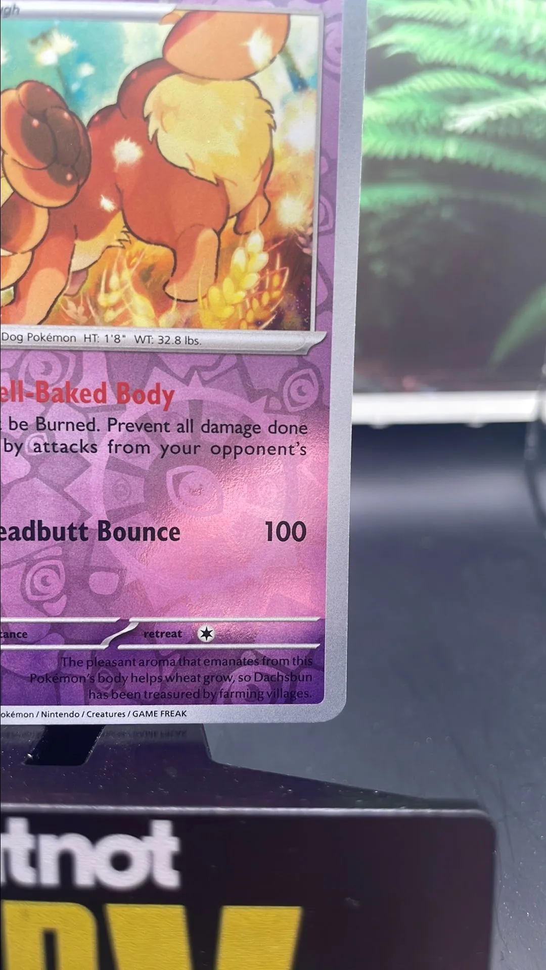 Listing Image Blurred Background