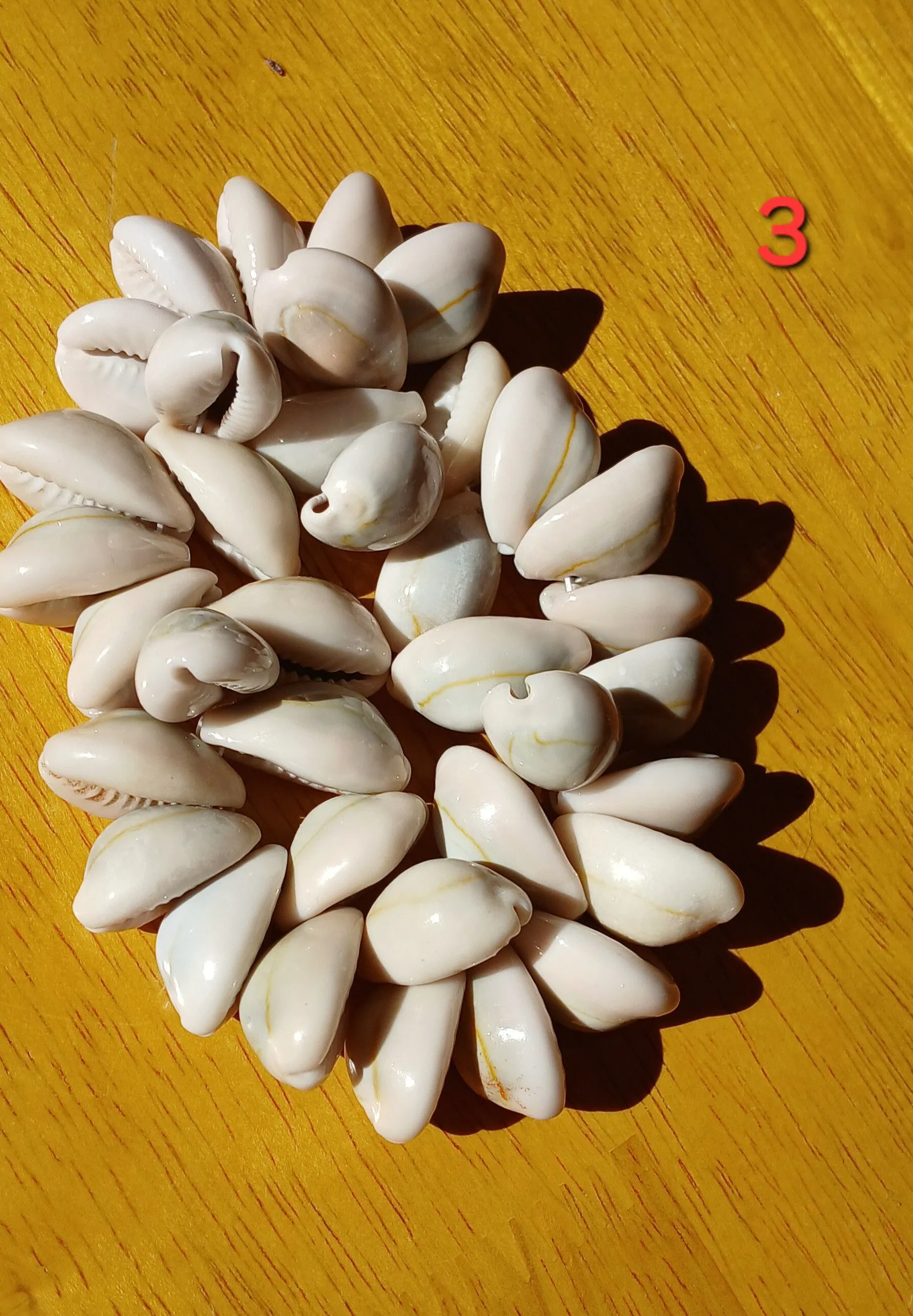 dfed7963-77d9-418c-a2c9-d878f9078d72