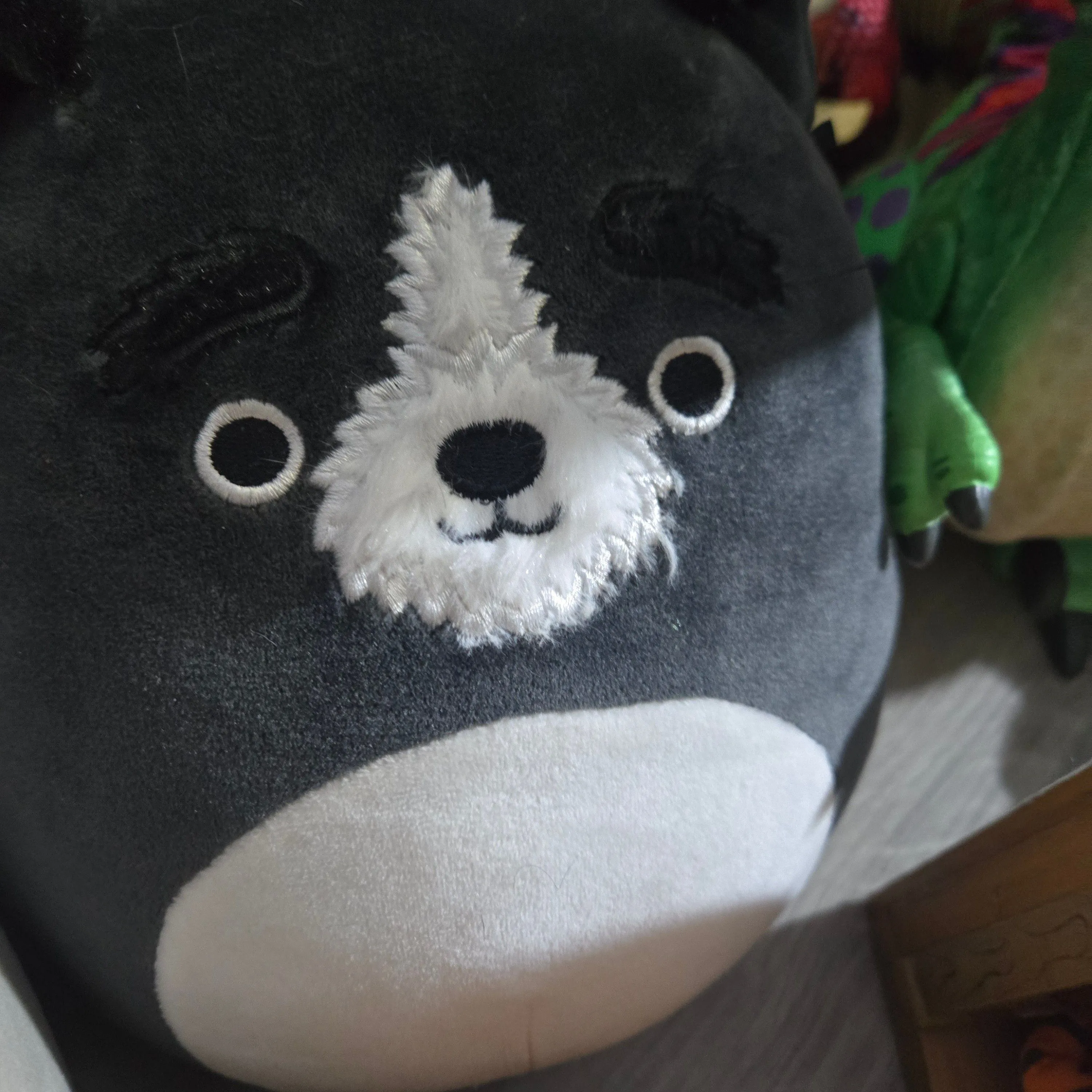 Product image for black dog squish 