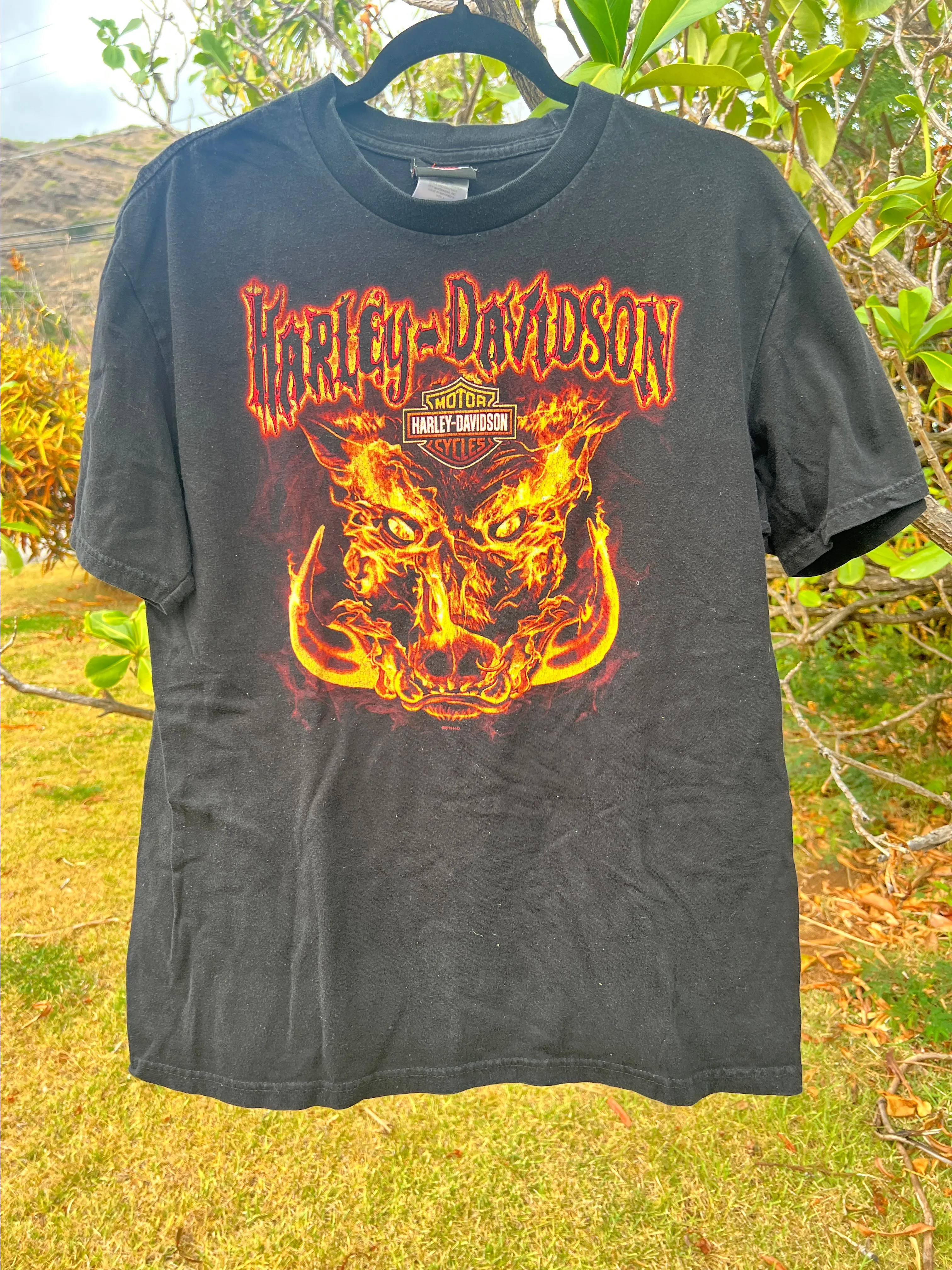 Product image for Harley-Davidson 2011 Indianapolis sz L