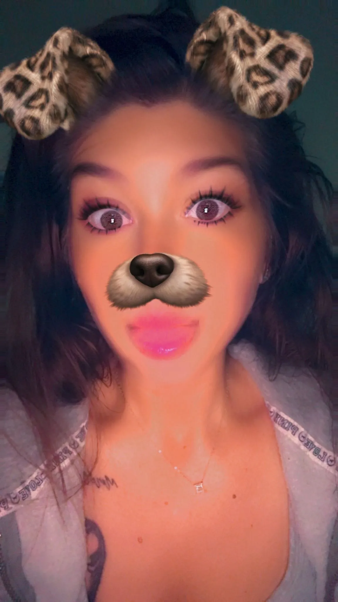 e0b42bec-3a71-4252-b3fb-bf7679dd221b