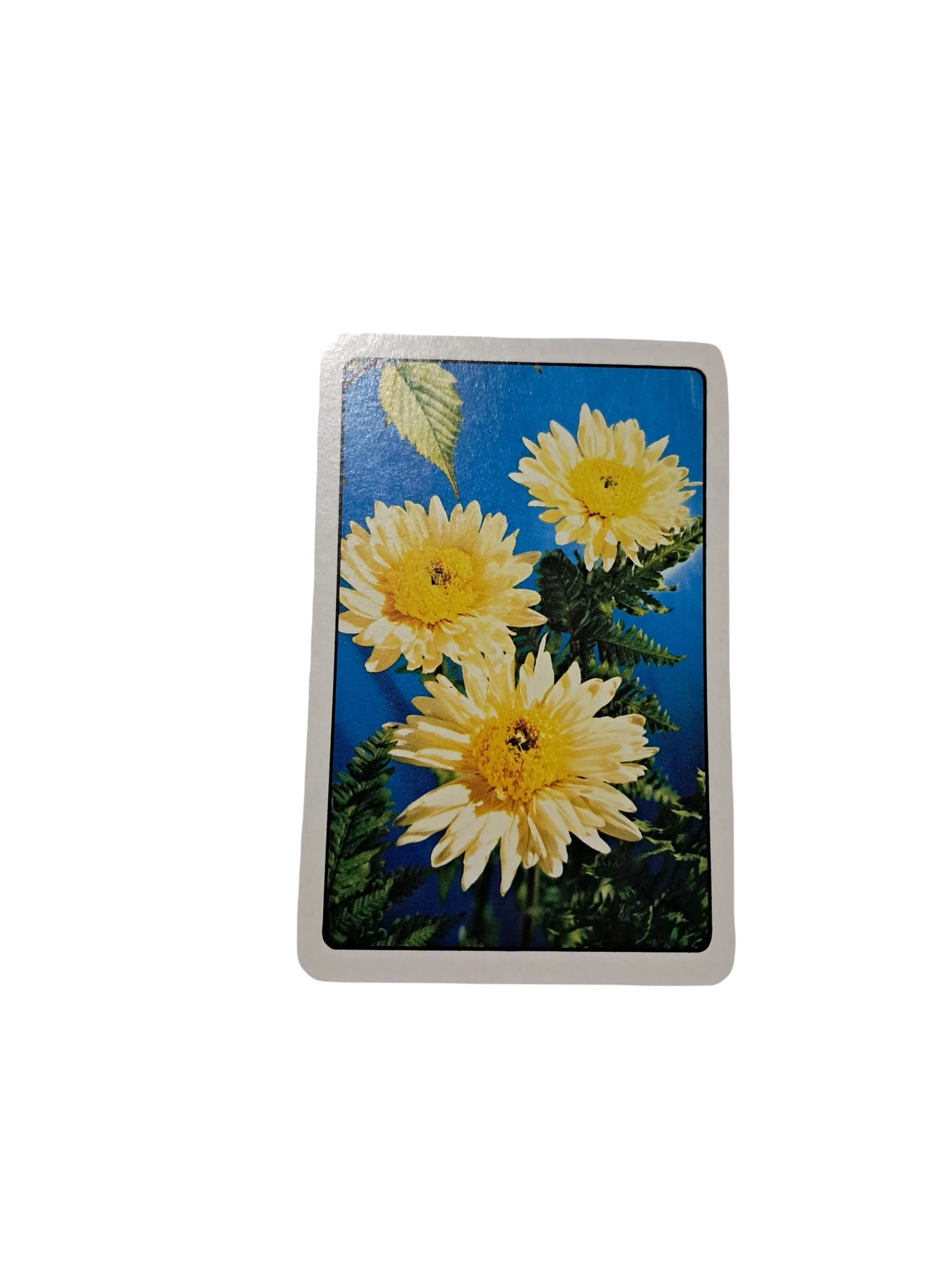 e1575b73-f652-48f8-9bee-76a085aa776d