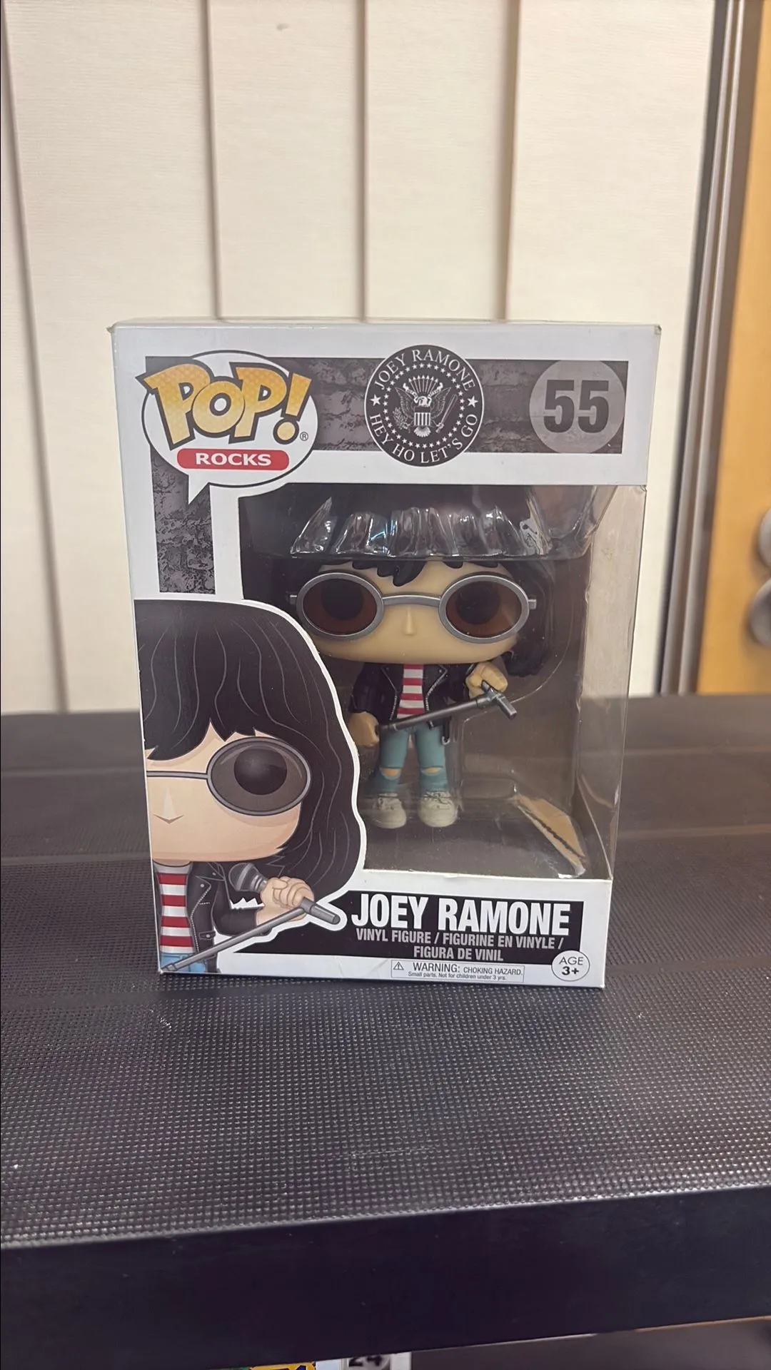 Product image for Joey ramone 55