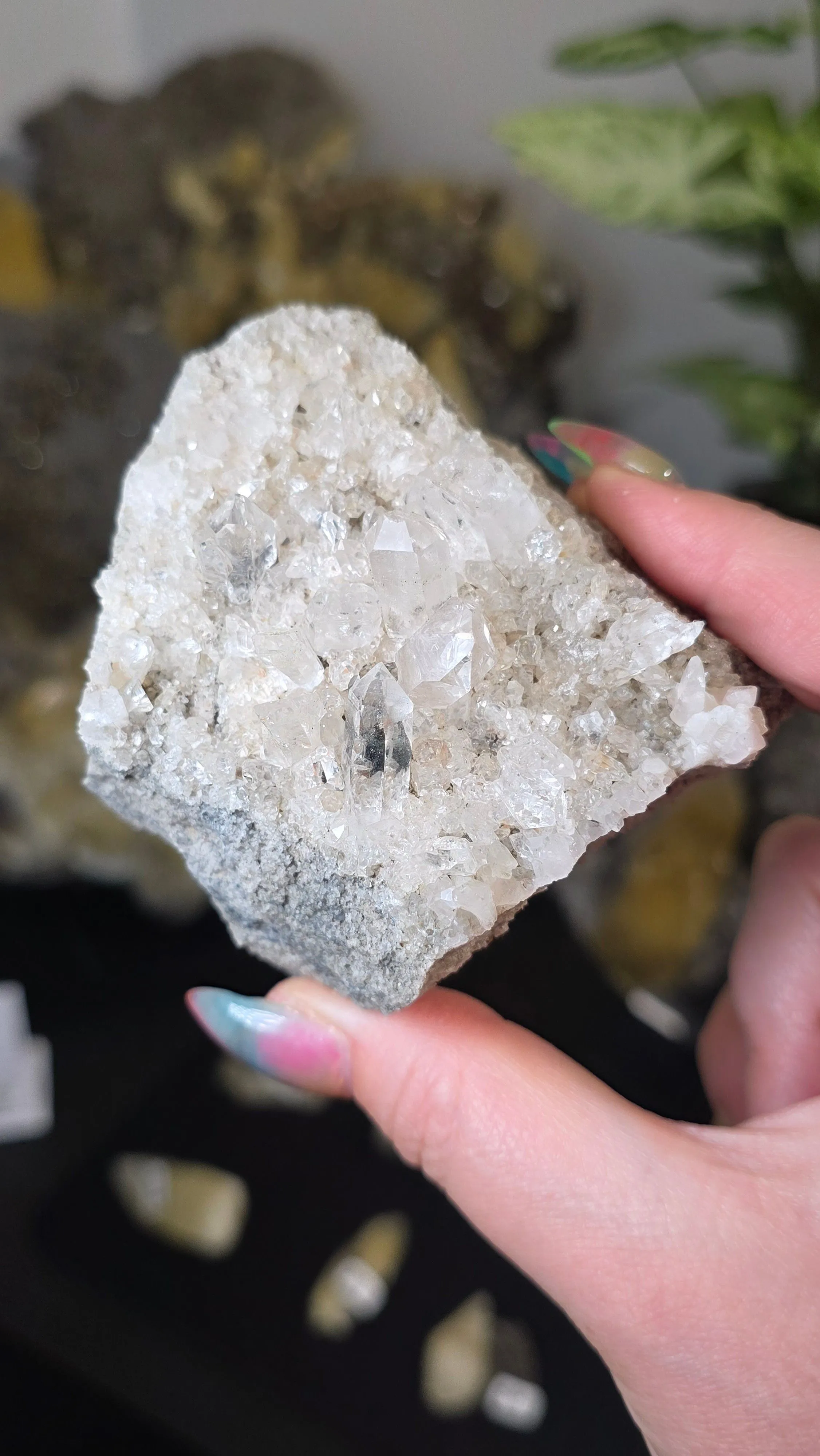 Product image for buckngo - quartz - arkansas