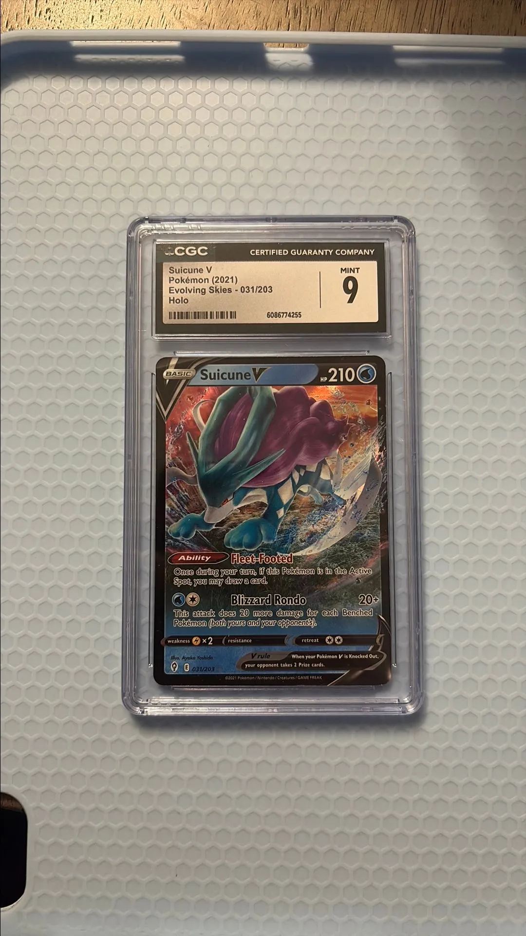 e25936f6-4e74-4e01-8306-56e381f08f43