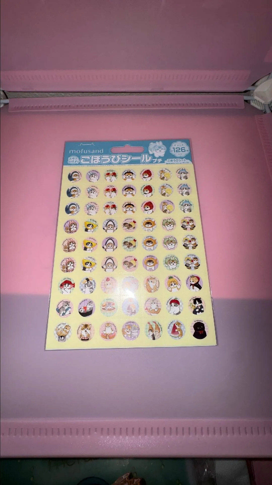 e320692e-5bf5-49e2-b9c6-ff69c1ef93df