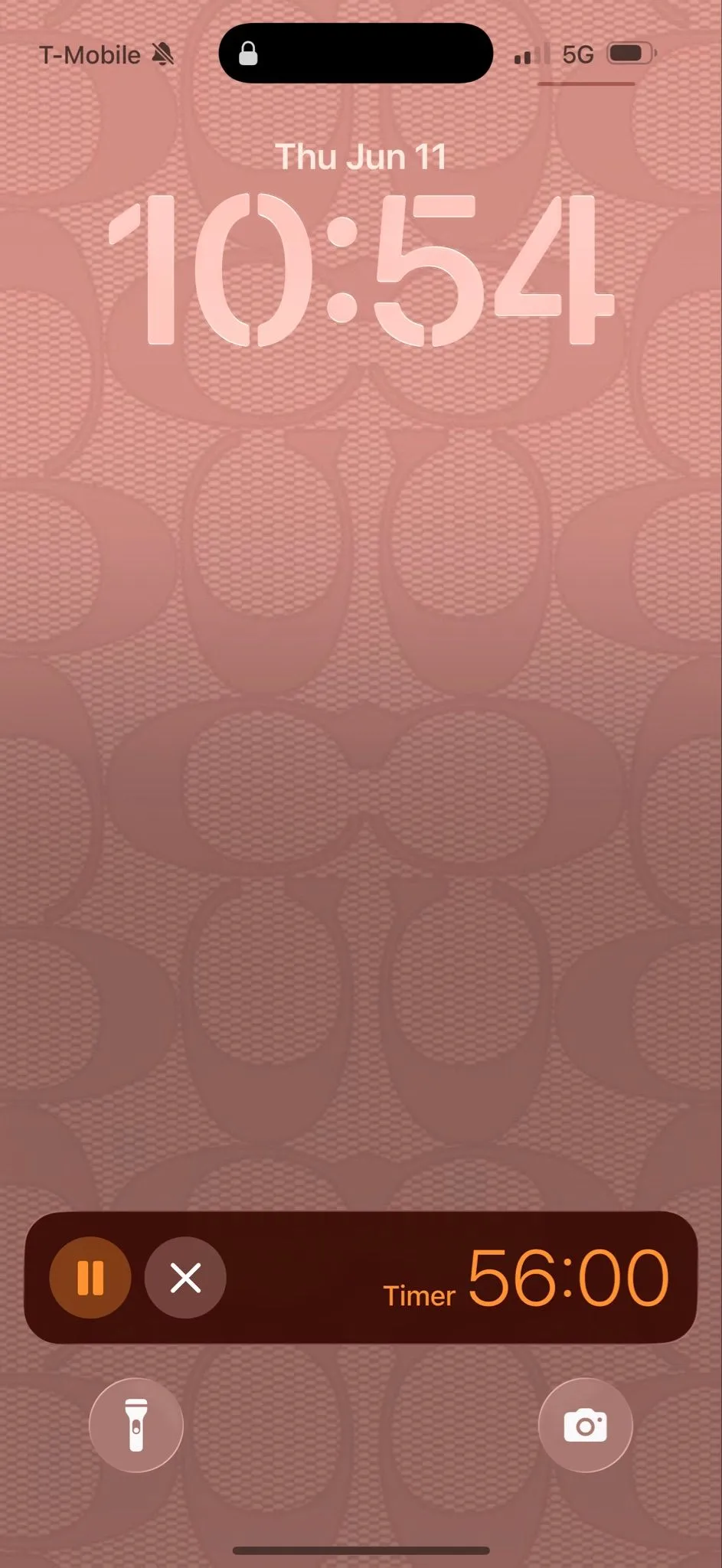 e51ccfd2-8b91-4e04-8daf-60929c877947