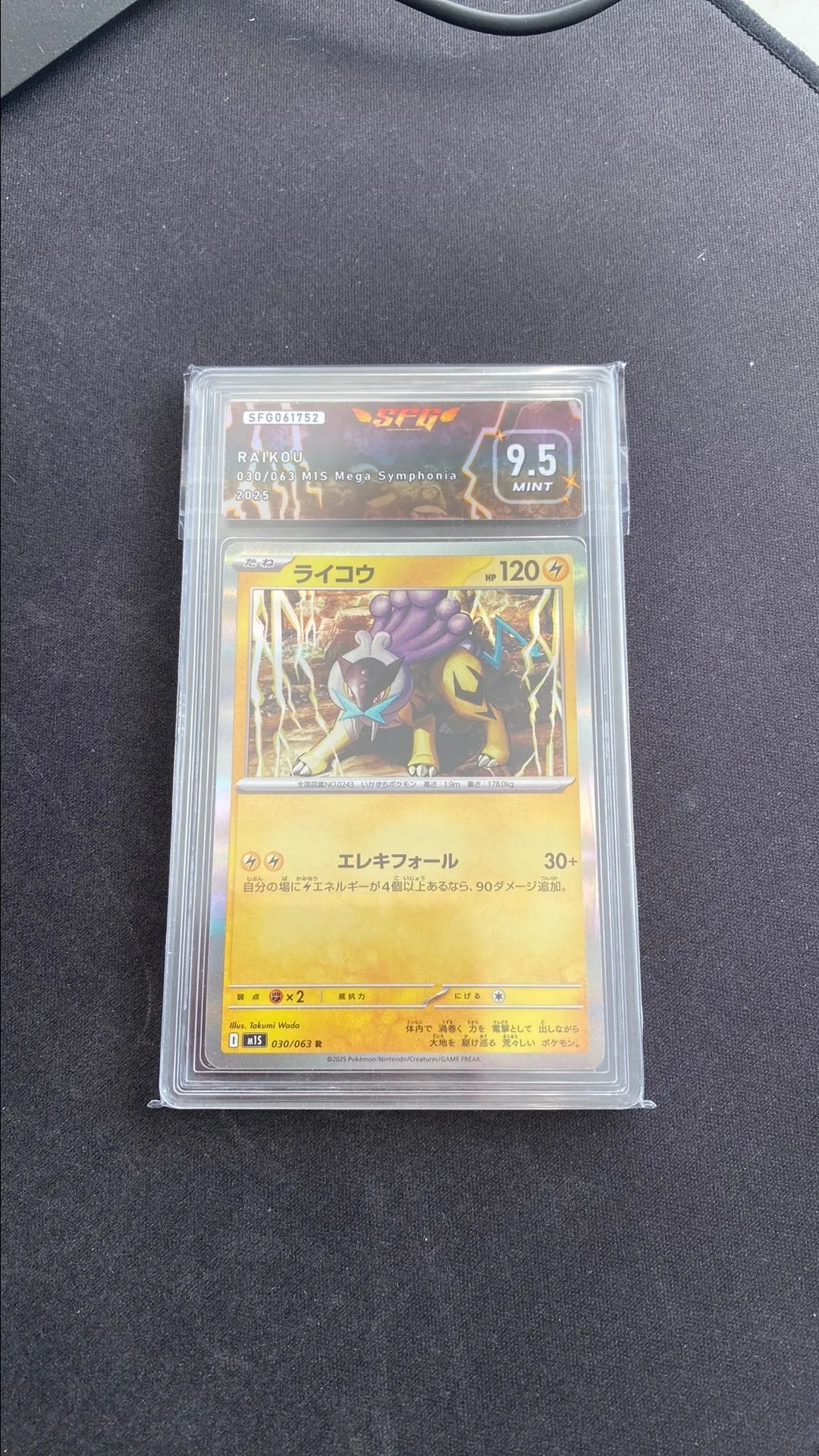 e65cc48d-2ab0-42ee-ad6d-328030ff41d8