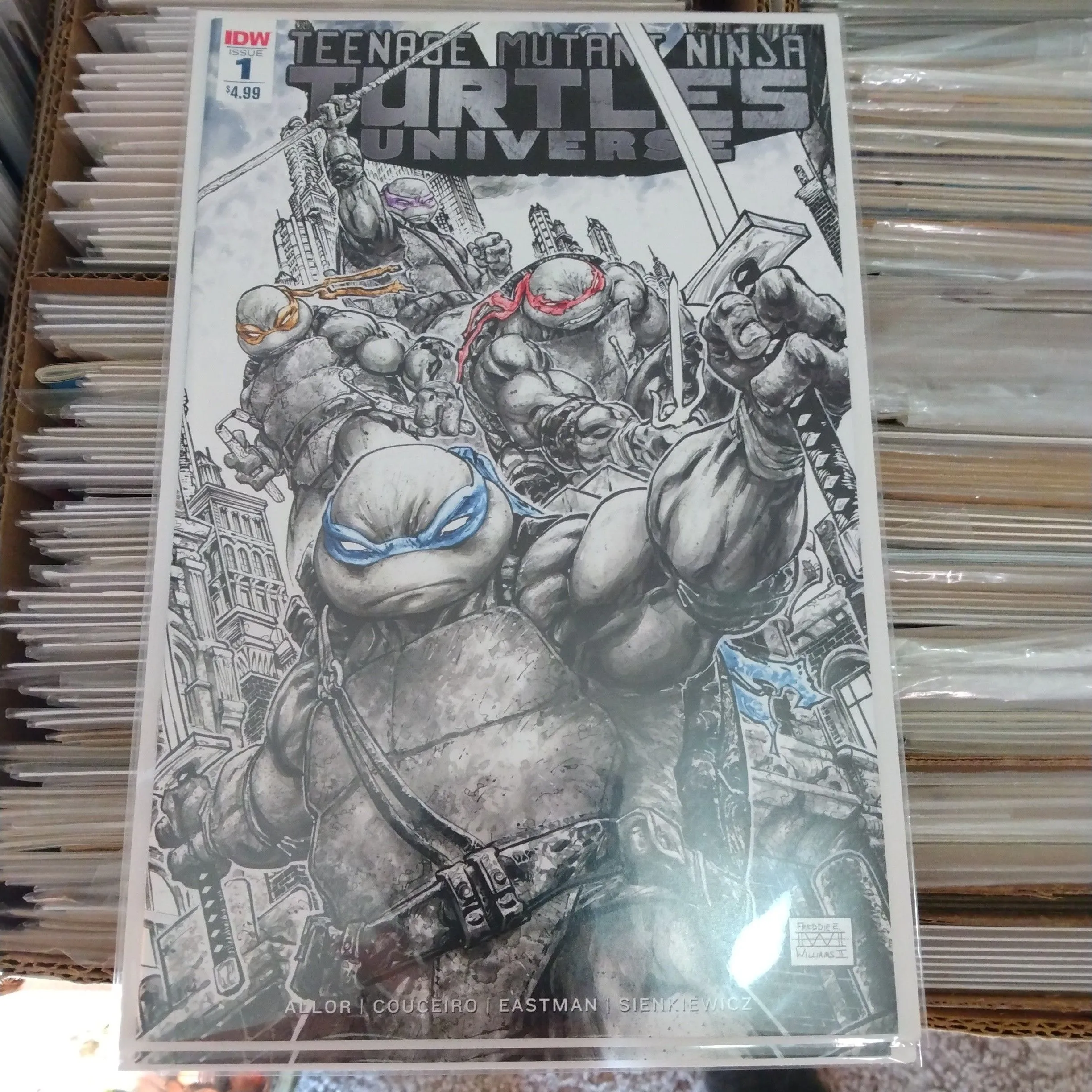 Product image for Teenage Mutant Ninja Turtles Universe #1 2nd print