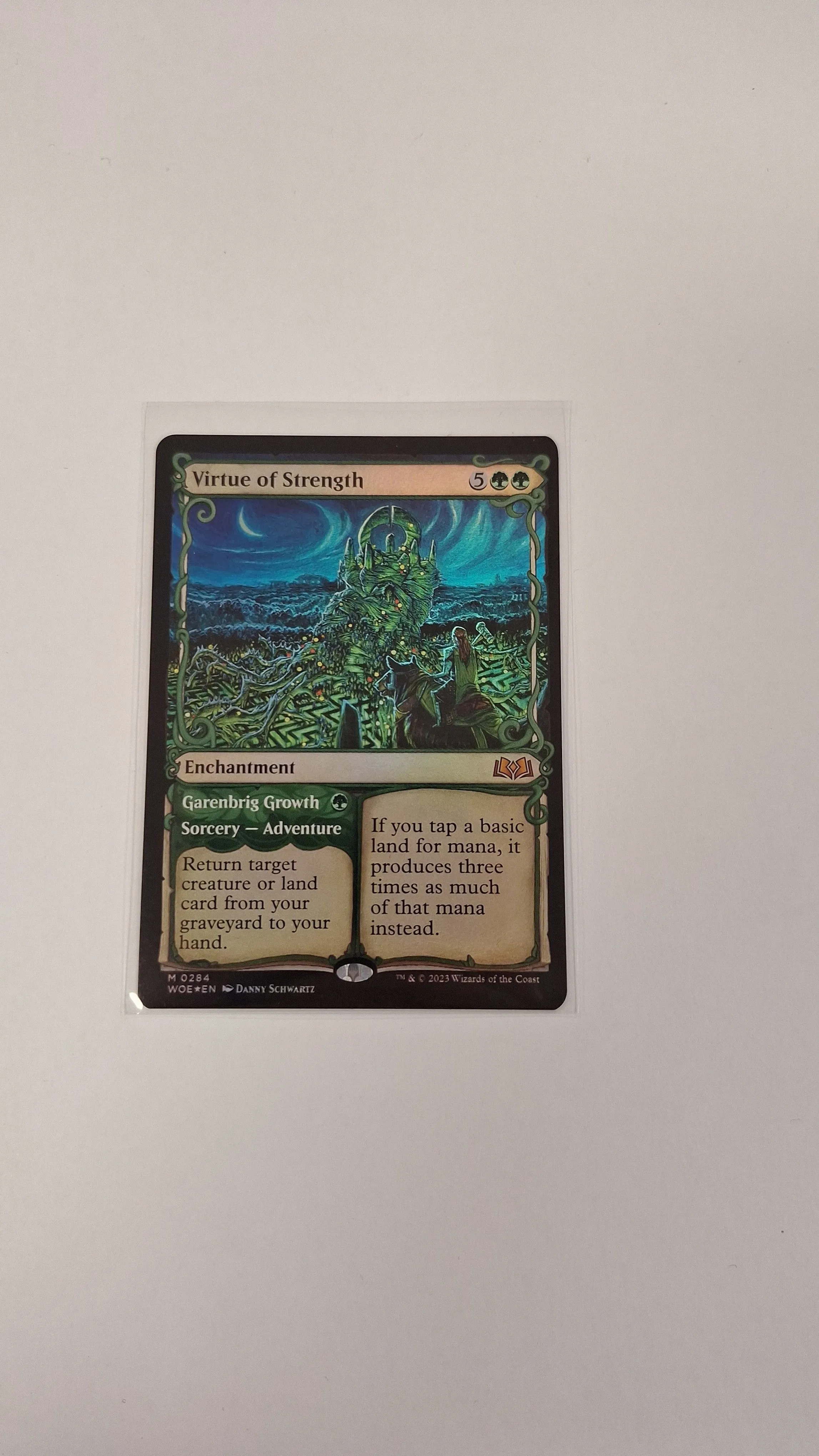 Product image for Virtue of Strength 