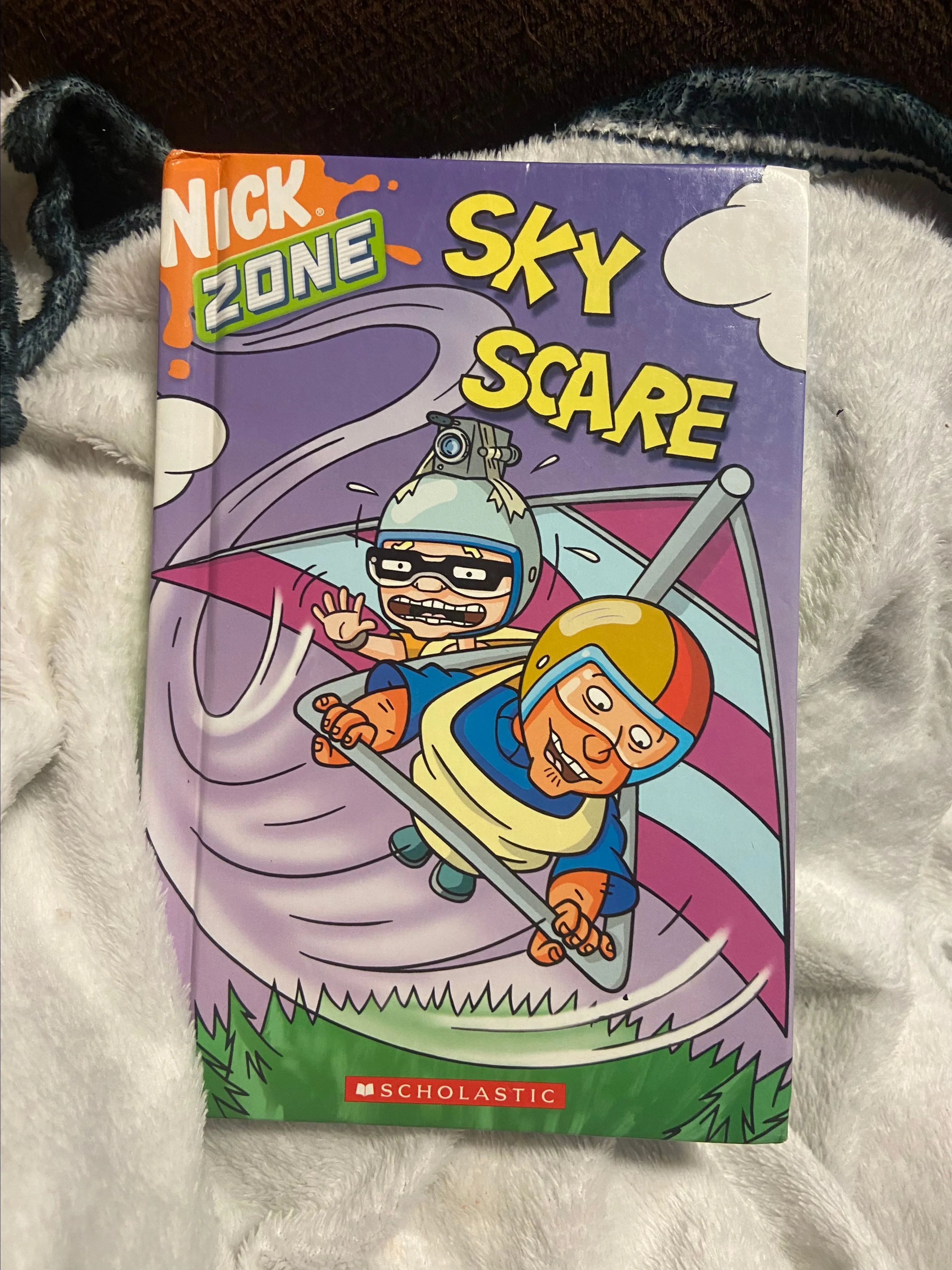 Product image for scholastic Nick zone sky scare hardcover book