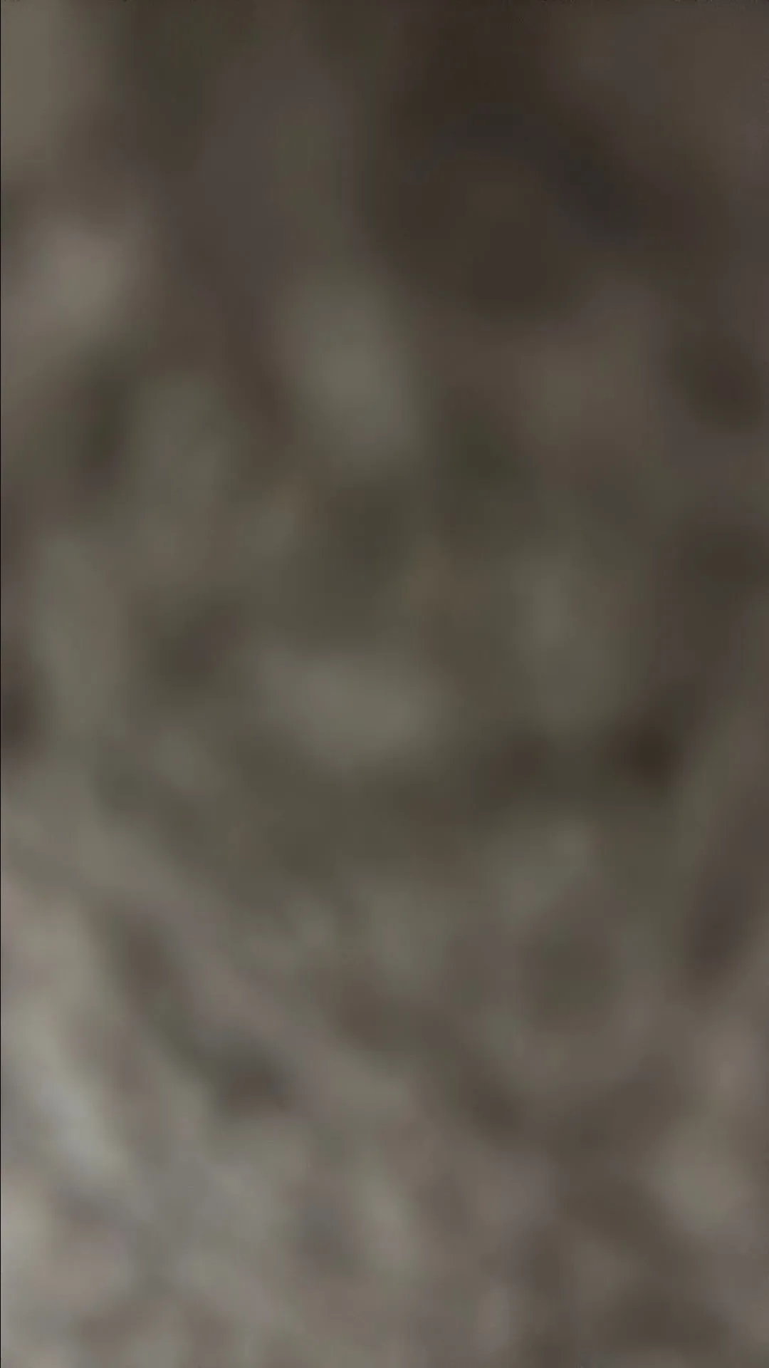 e744f8bb-9c93-4e04-92fc-ef450da3d7ed