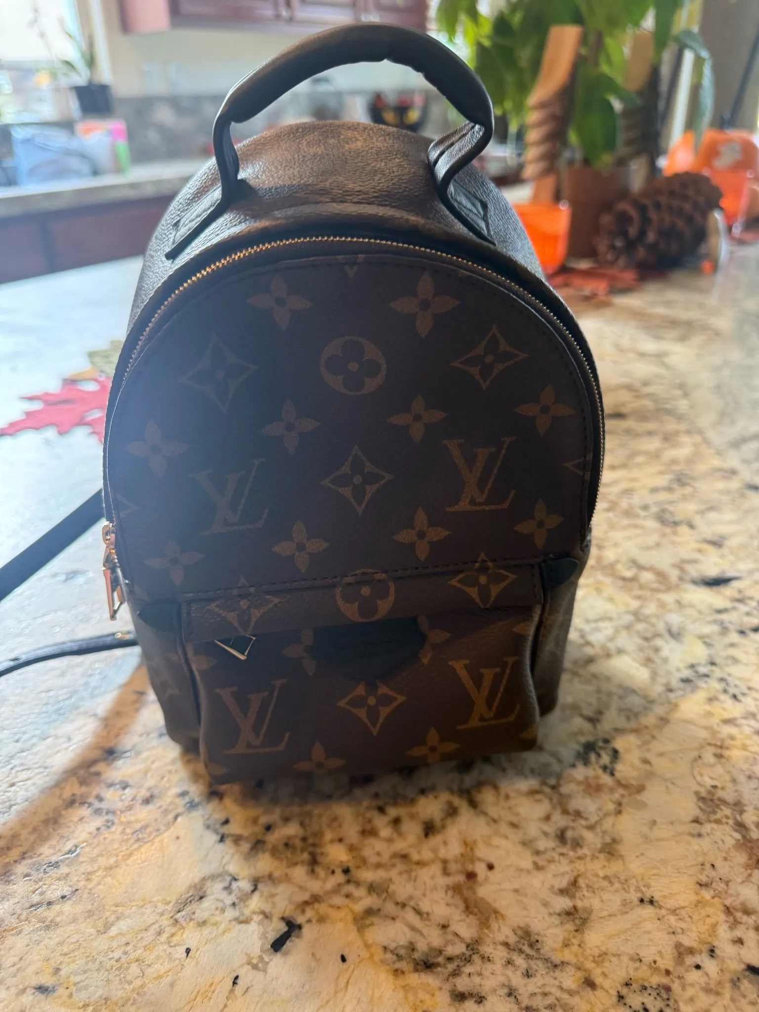 Louis Vuitton Palm Springs Mini Monogram Canvas Mini Backpack  Whatnot:  Shop, Sell, Connect