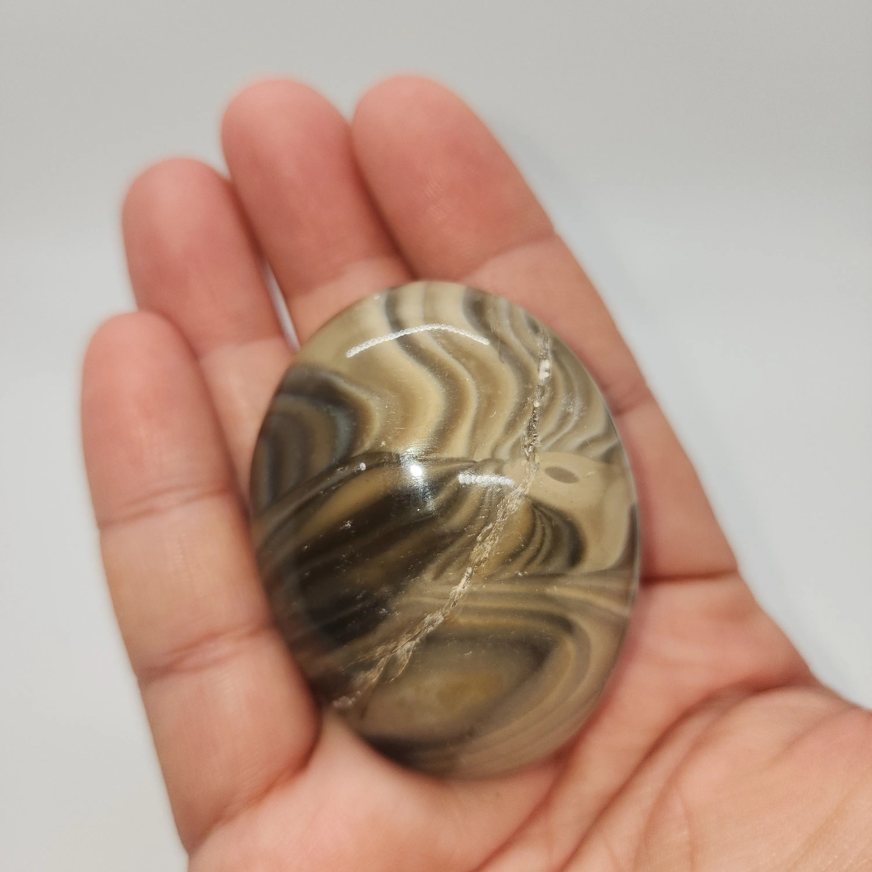 Product image for *NEW INVENTORY* Polish Flint Palmstone
