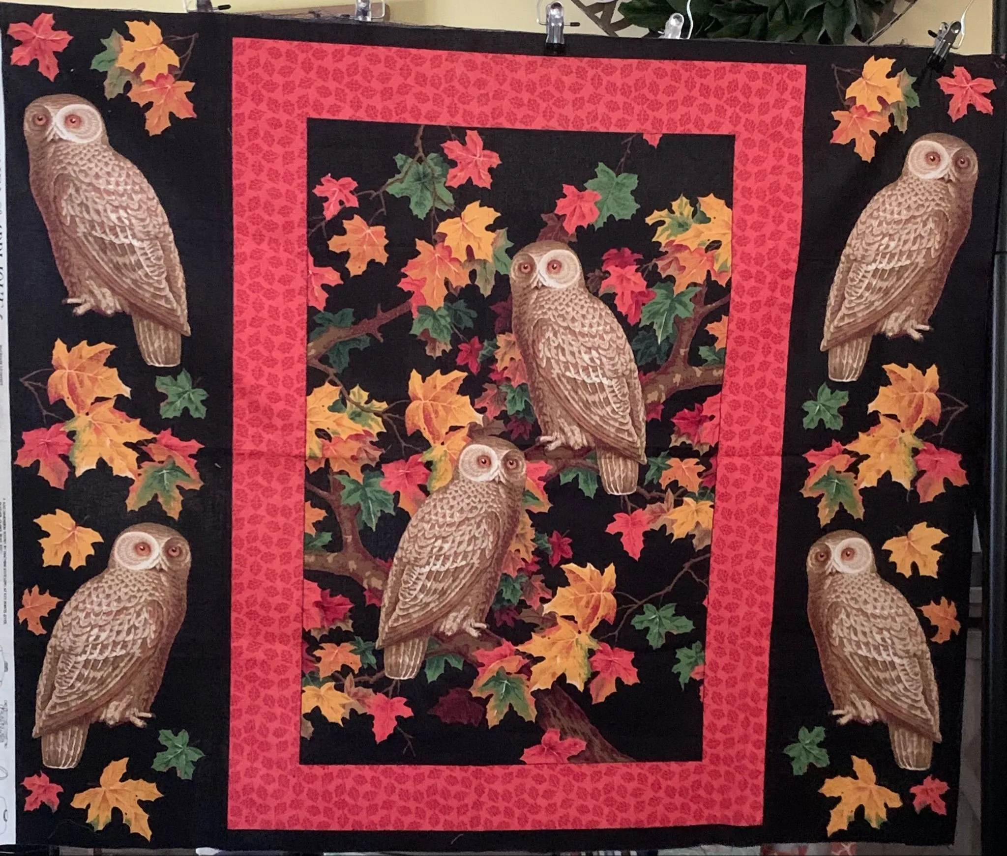 e8acc954-3e92-4e96-a11d-0c1dc7cafa7b
