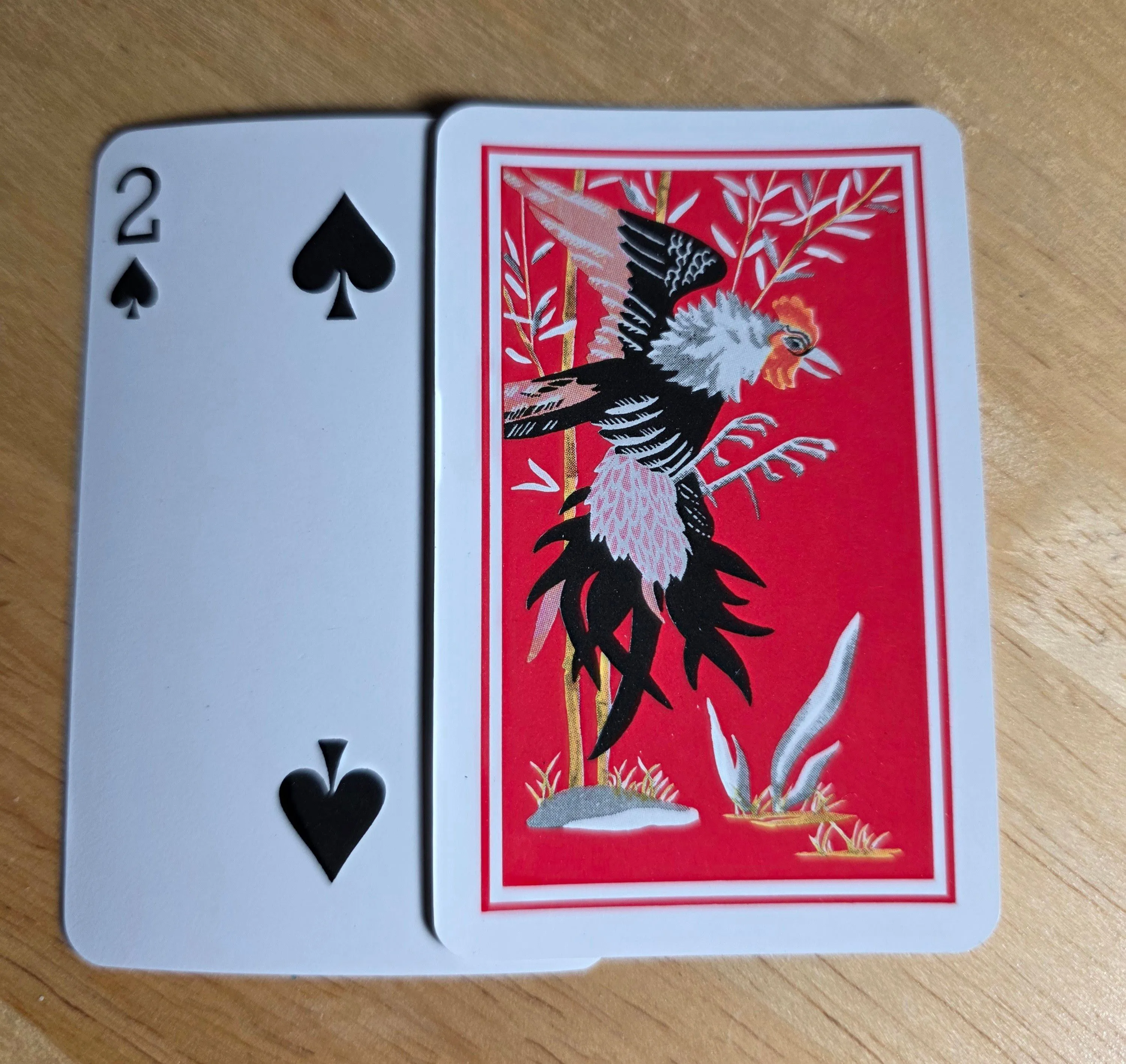 e8ce24ff-55bb-4da4-9dfa-164cb3ce6208