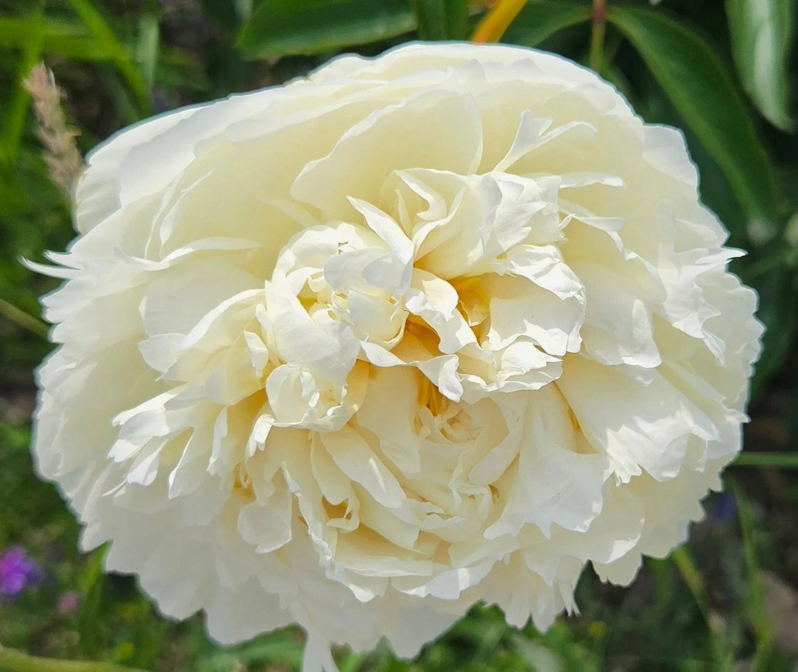 e91675ed-54fa-47ce-a0a1-15b3bdbd0aa9