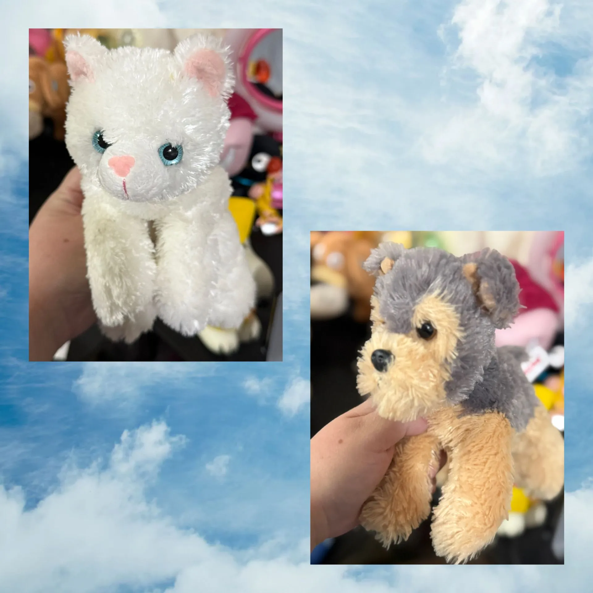 e91dd6b9-7f27-4e80-8948-c7e64174cfce