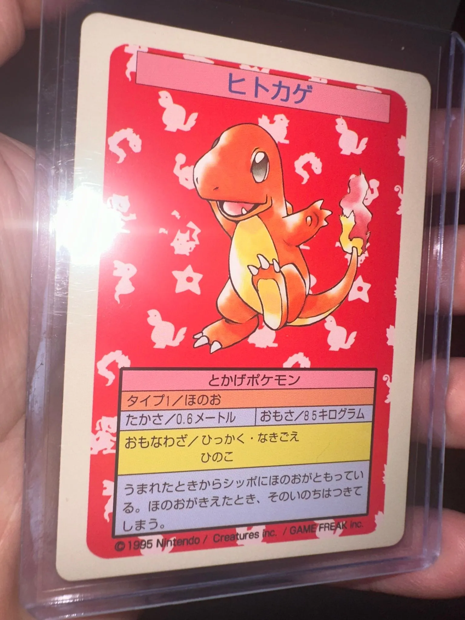 e936218f-3a87-4851-af00-ca09e8577a2f