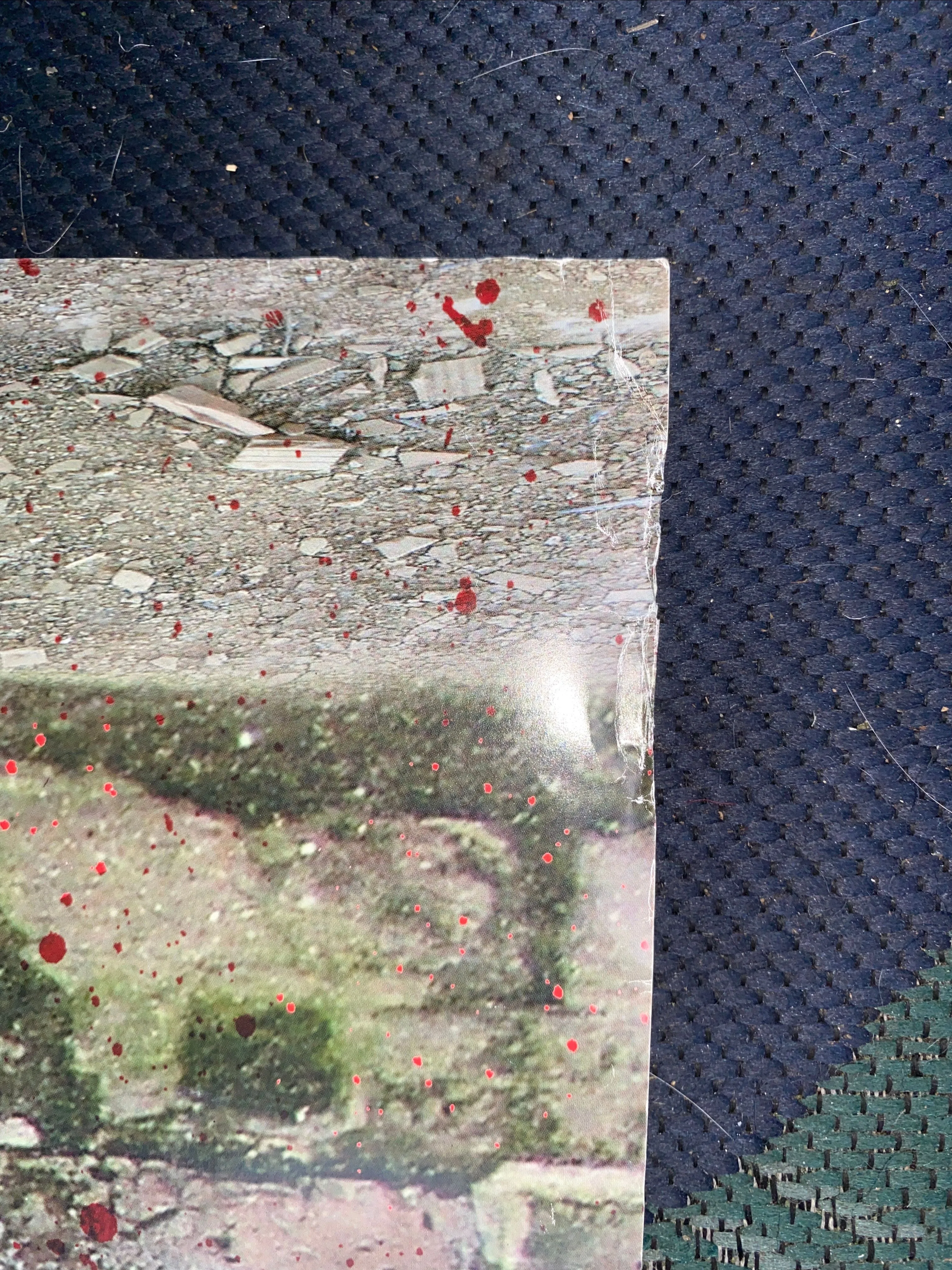 Listing Image Blurred Background