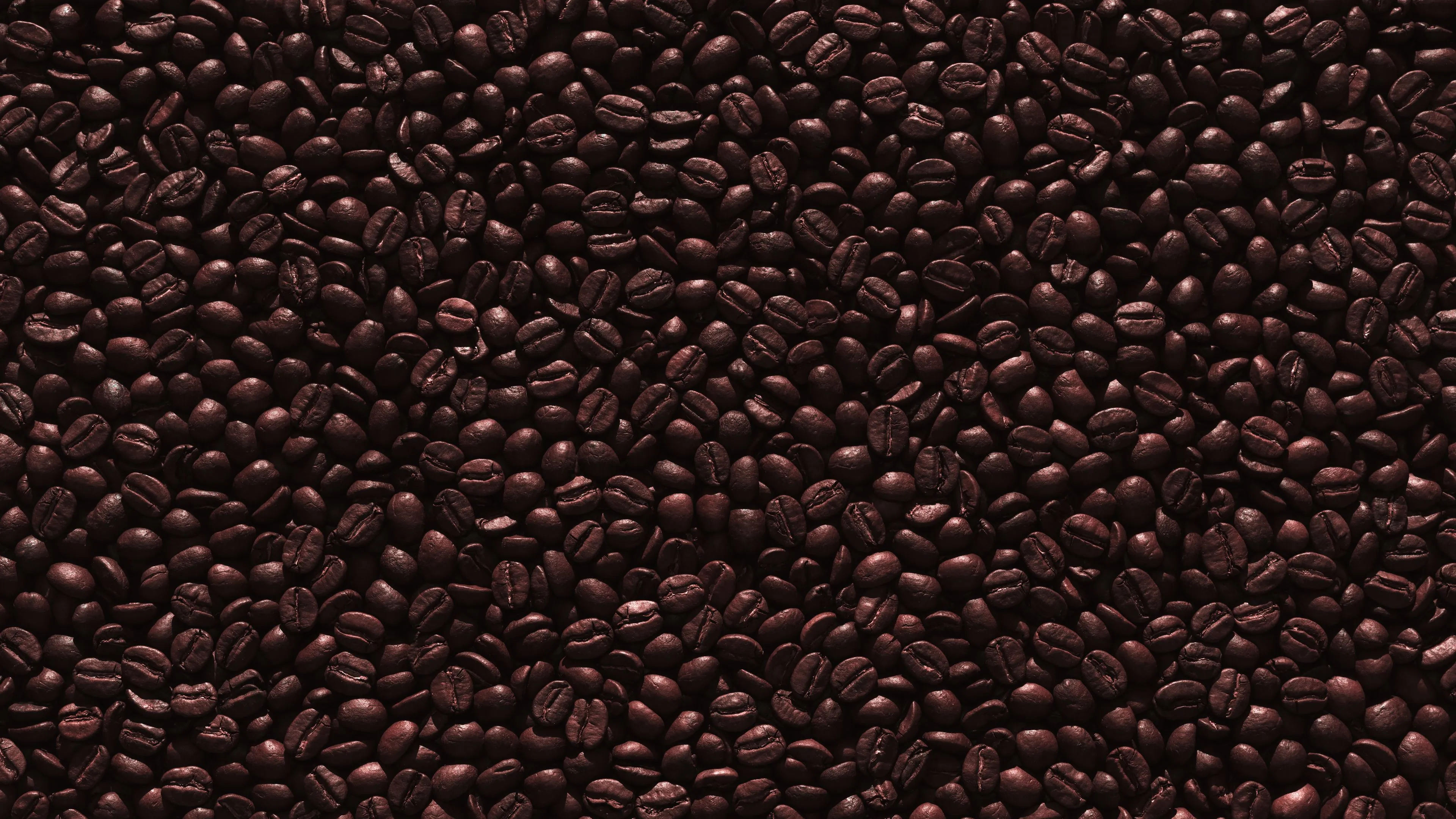 e9cc8135-b5b2-43aa-b00a-b25b5348868c