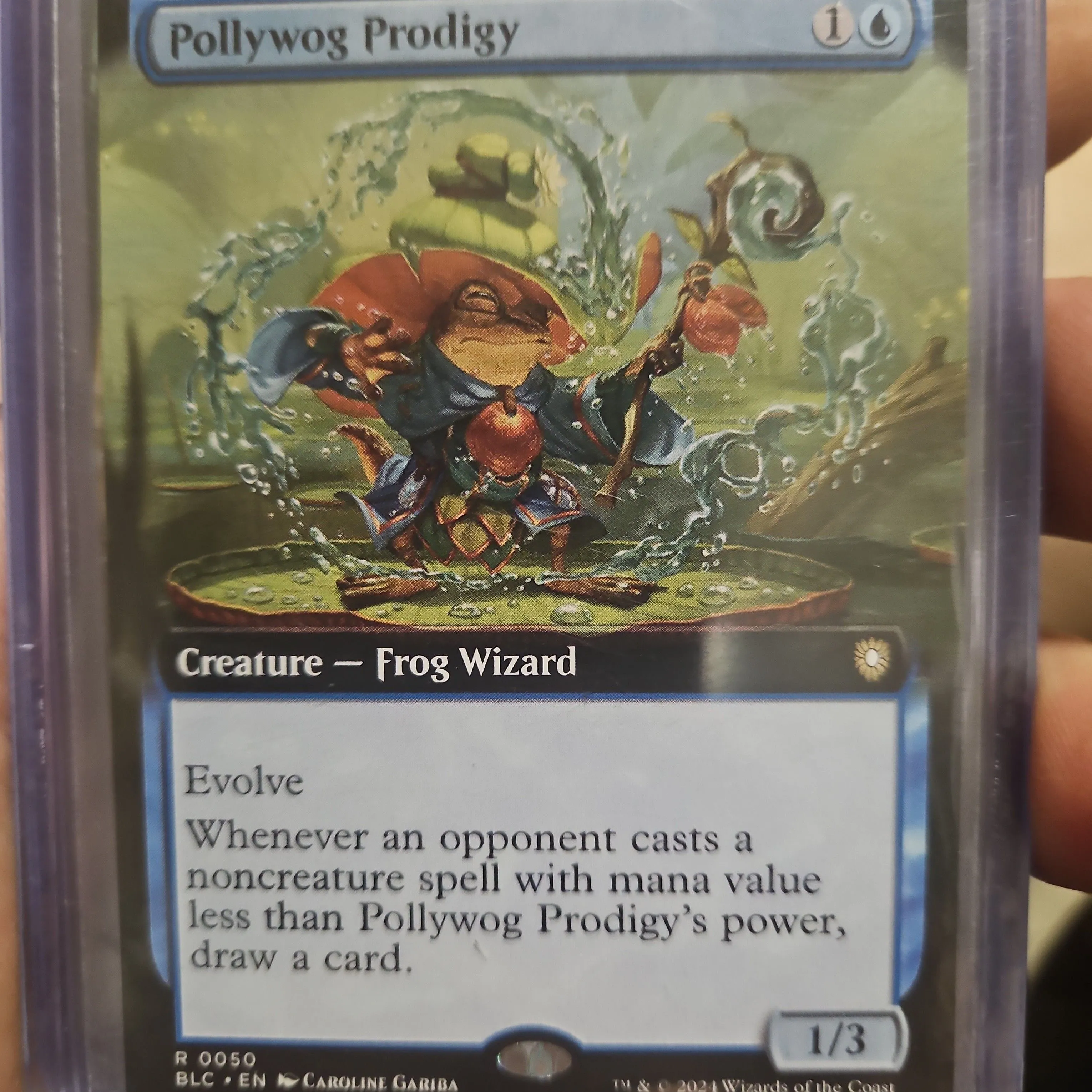 Product image for Pollywog Prodigy extended art
