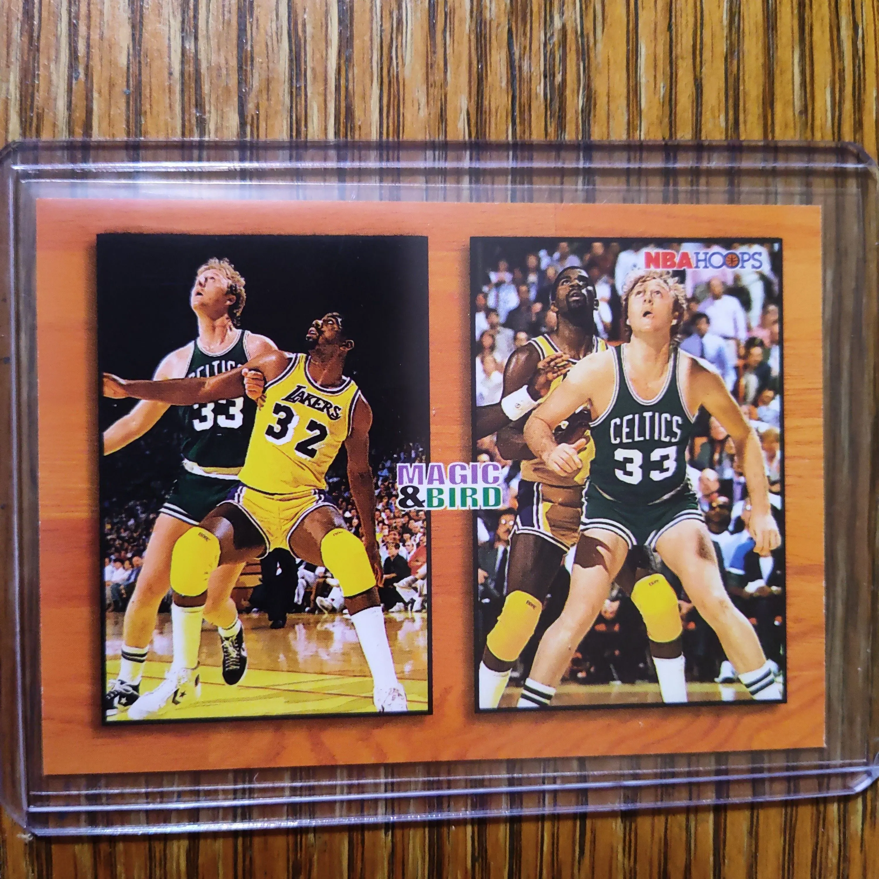 Product image for 1994 Skybox Magic & Bird