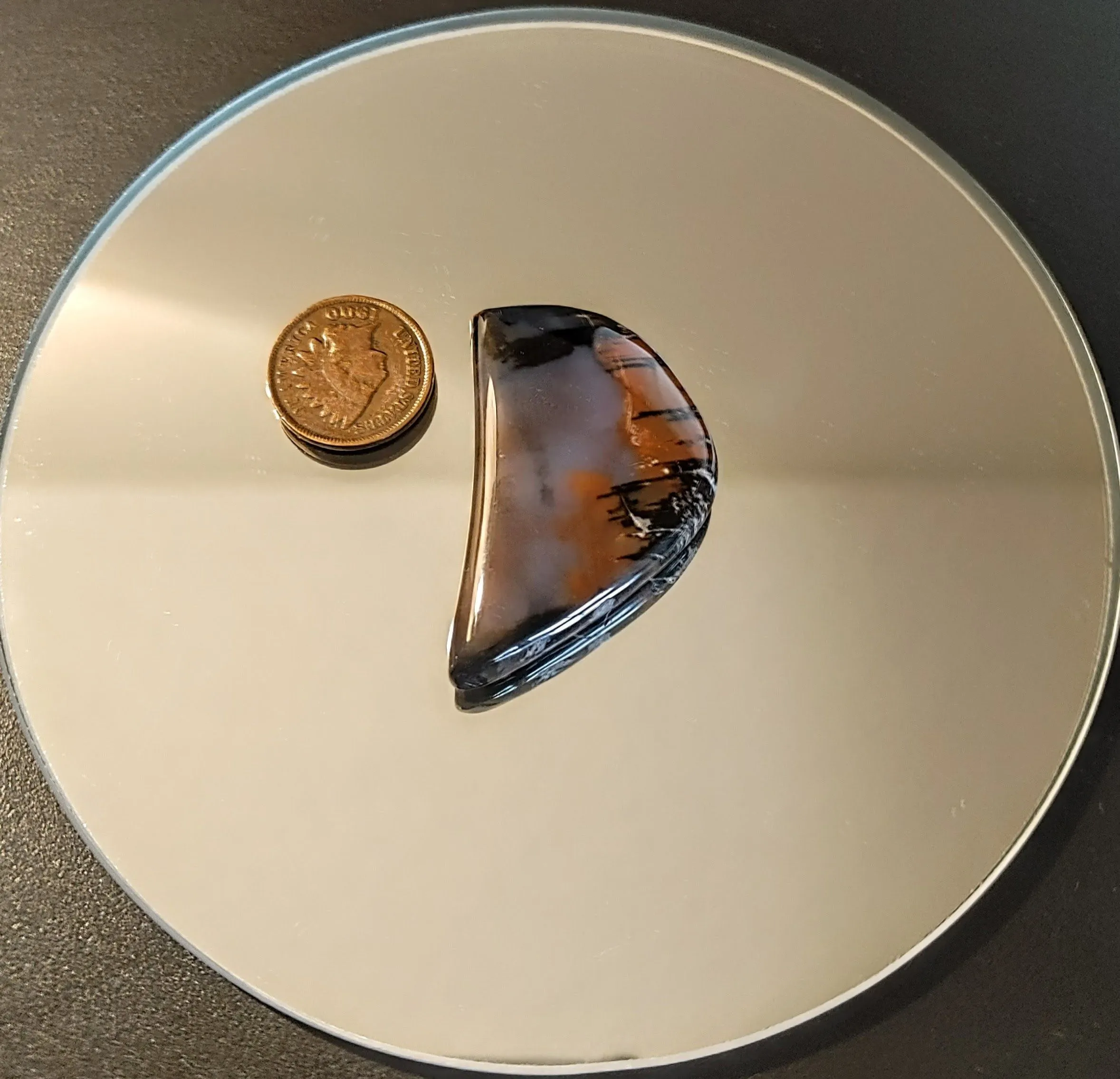 Product image for Polished Handcrafted 45x27mm 78.11ct Freeform Arizona Petrified Wood Cabochon - A CS Original Piece