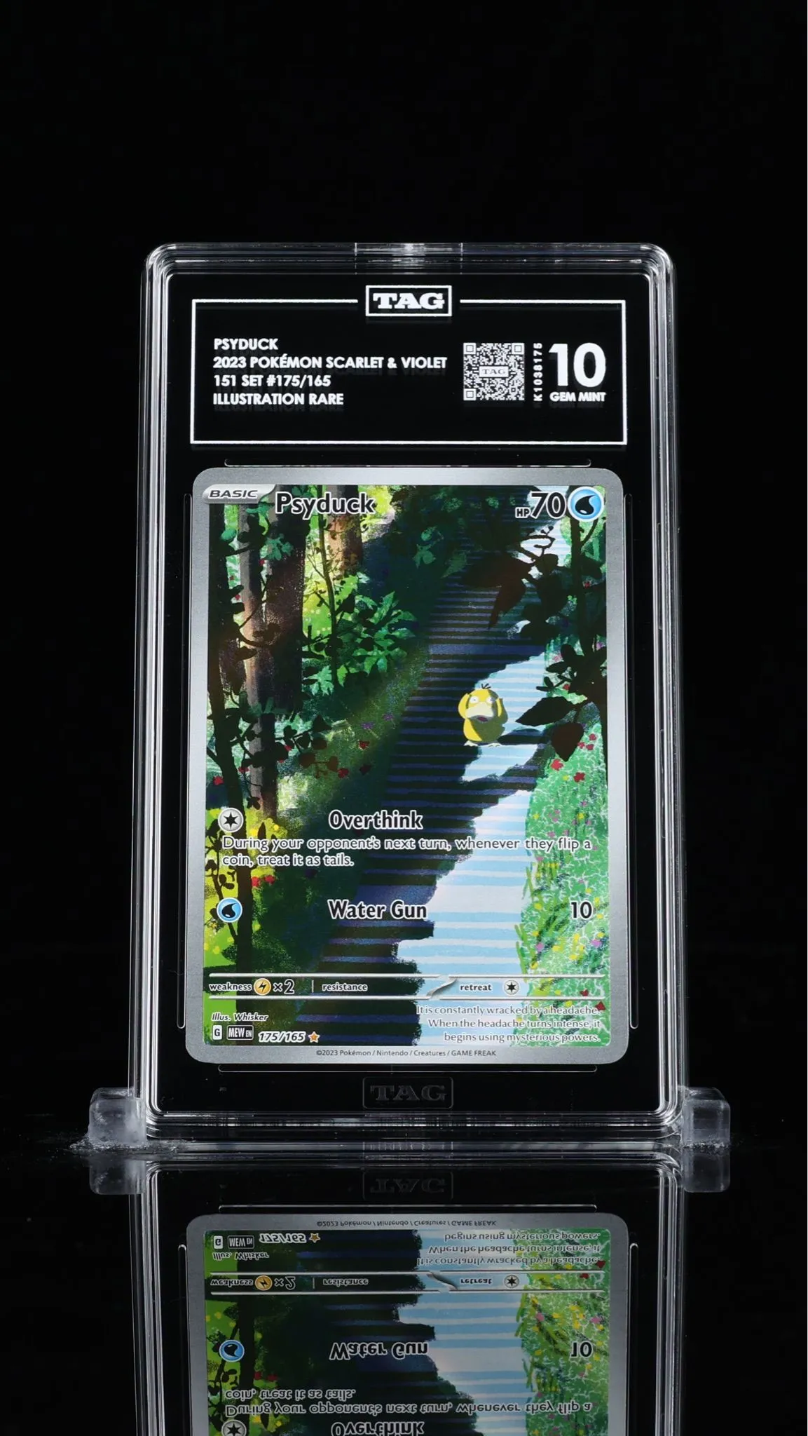 ec2eabfb-85e1-46ab-8aaa-cdd58b3cd170