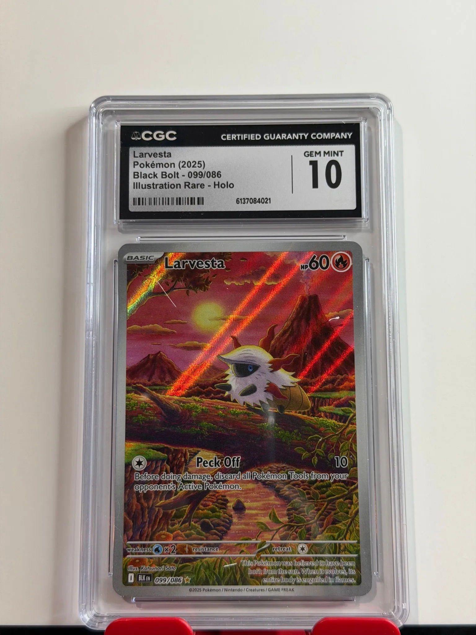 ecbb55d9-e024-49cd-ab17-302e72410d5b
