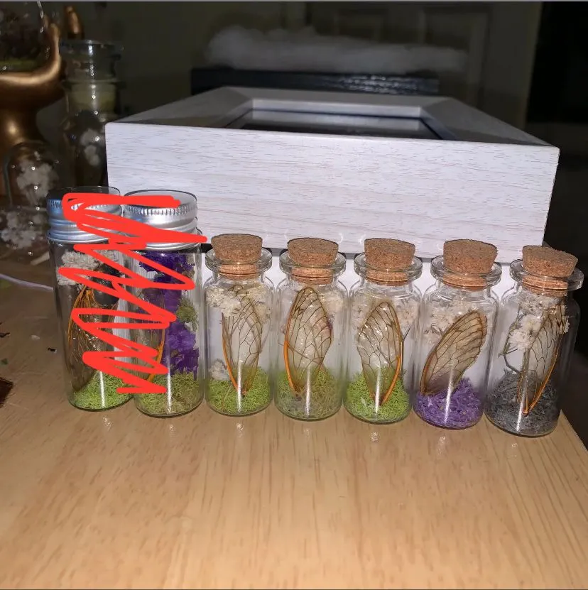 Product image for Oddity vials cicada wing, flower, moss